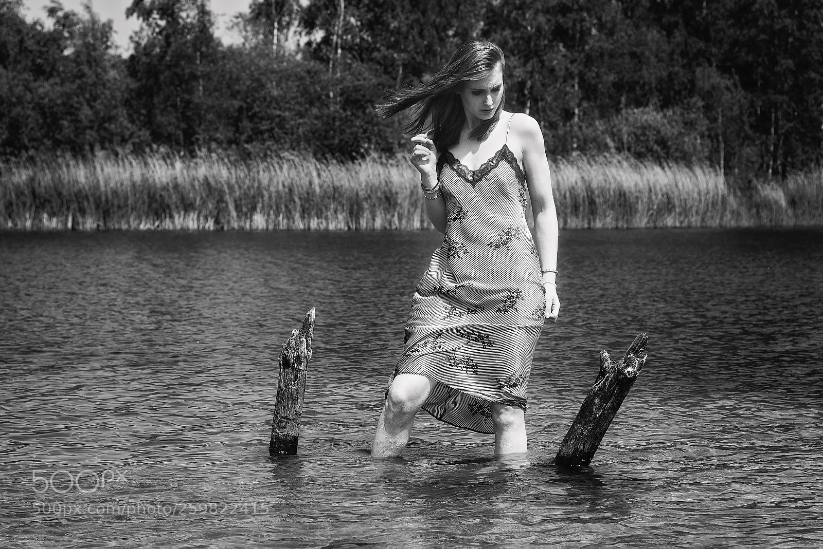 Nikon D750 sample photo. Run to the water photography