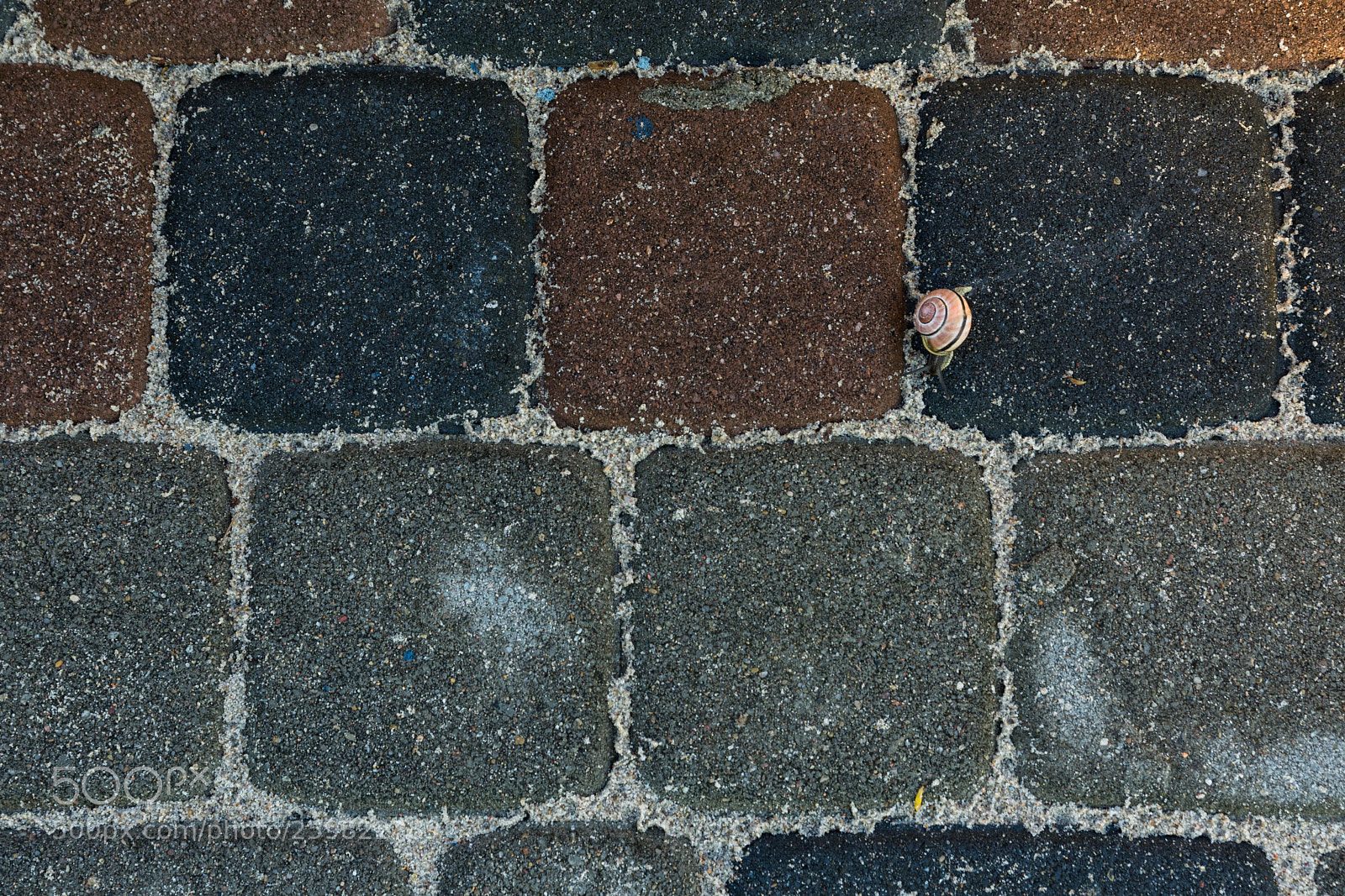 Nikon D7200 sample photo. Runner photography