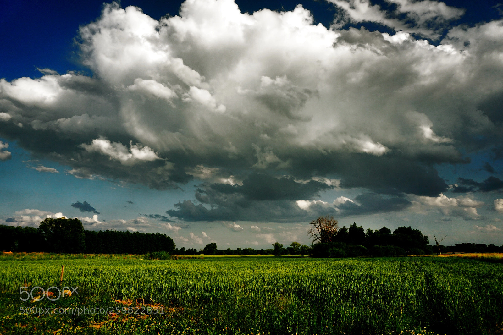 Sony a6000 sample photo. Dramatic sky photography