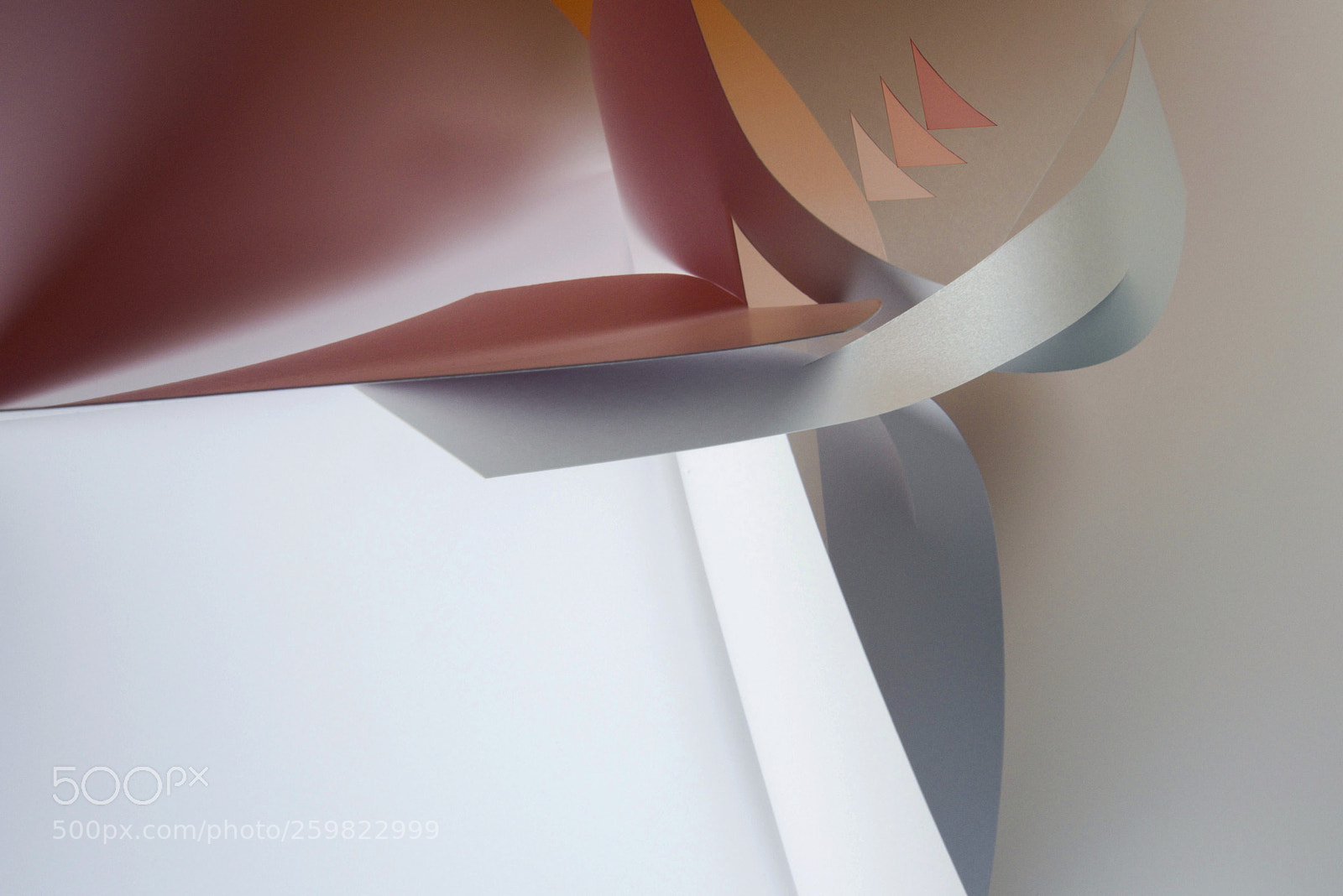 Nikon D810 sample photo. Negative space gets positive photography