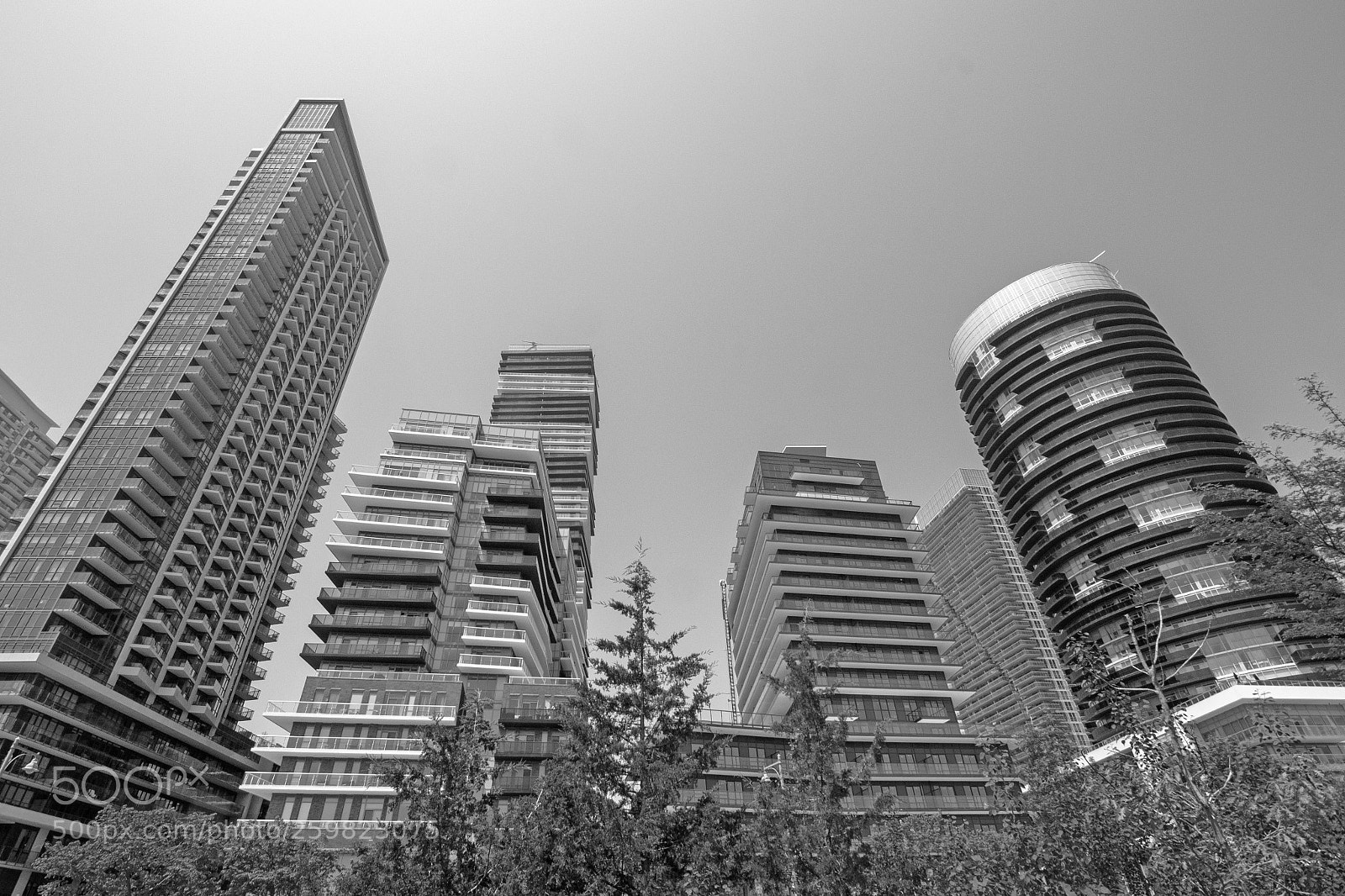 Nikon D3100 sample photo. Condos photography