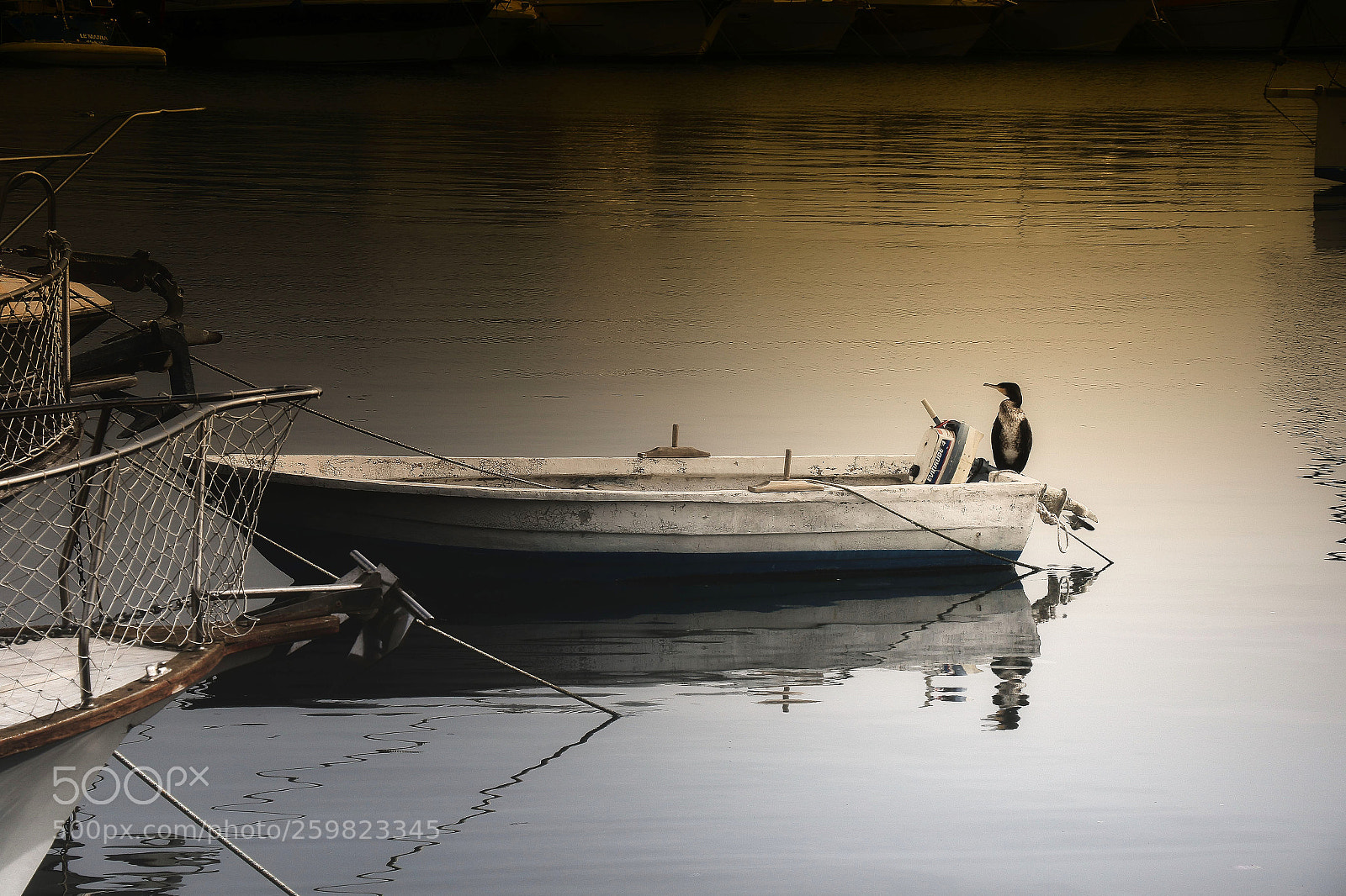 Canon EOS 7D Mark II sample photo. Sole photography