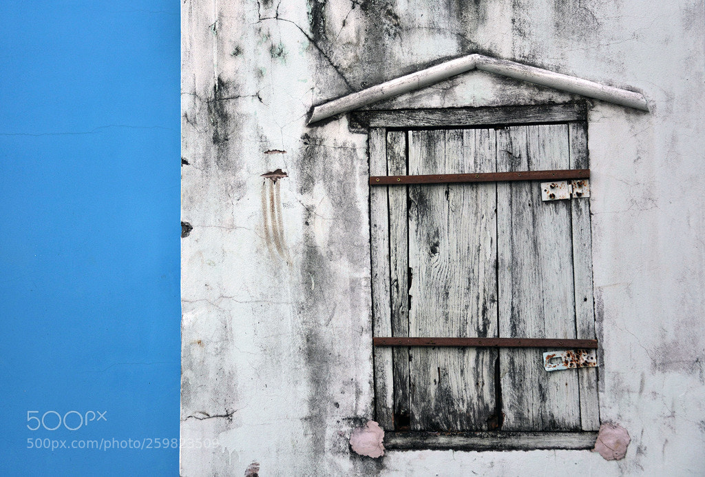 Nikon D800 sample photo. Wall painting photography