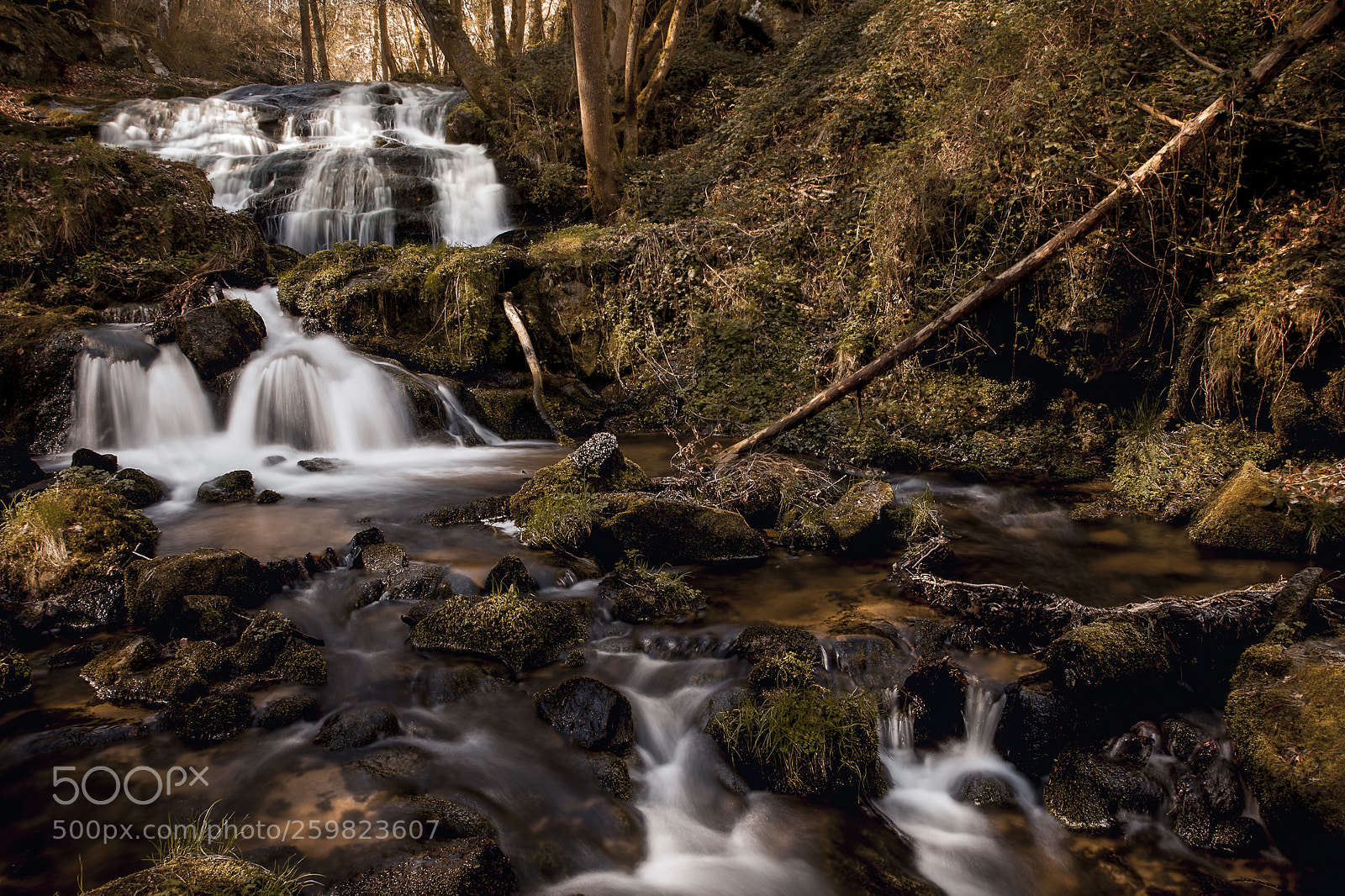 Canon EOS 5D Mark II sample photo. 2017-25.jpg photography