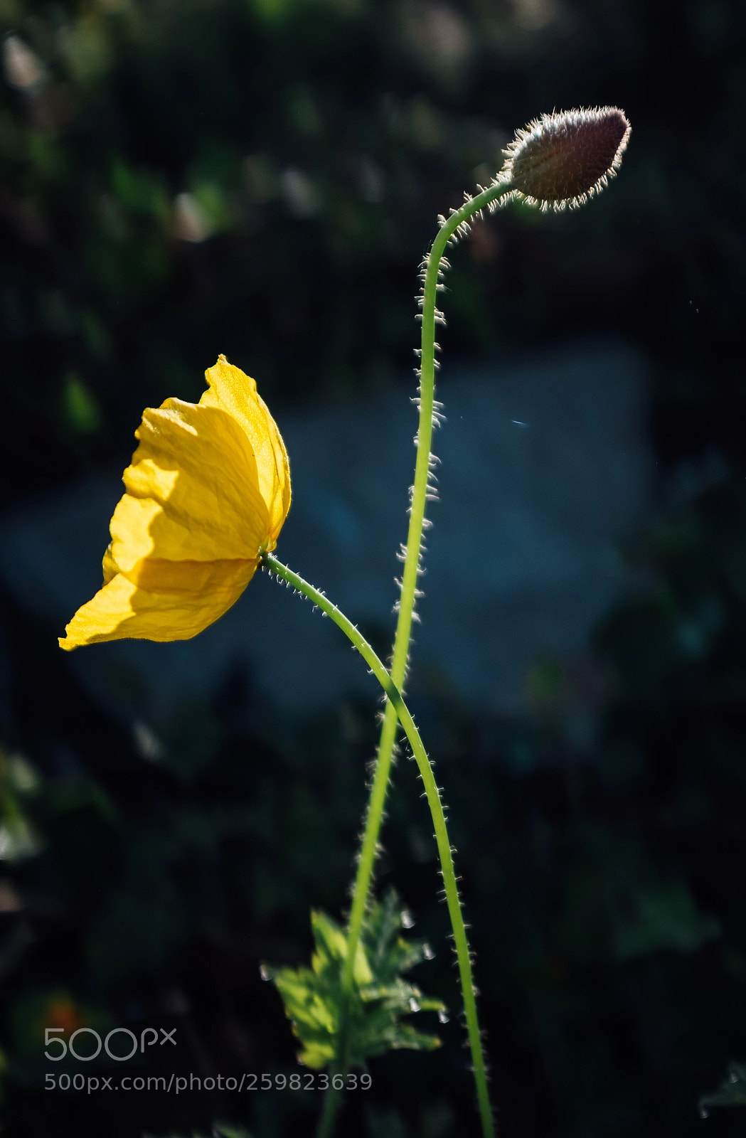 Fujifilm X100T sample photo. From darkness to light photography