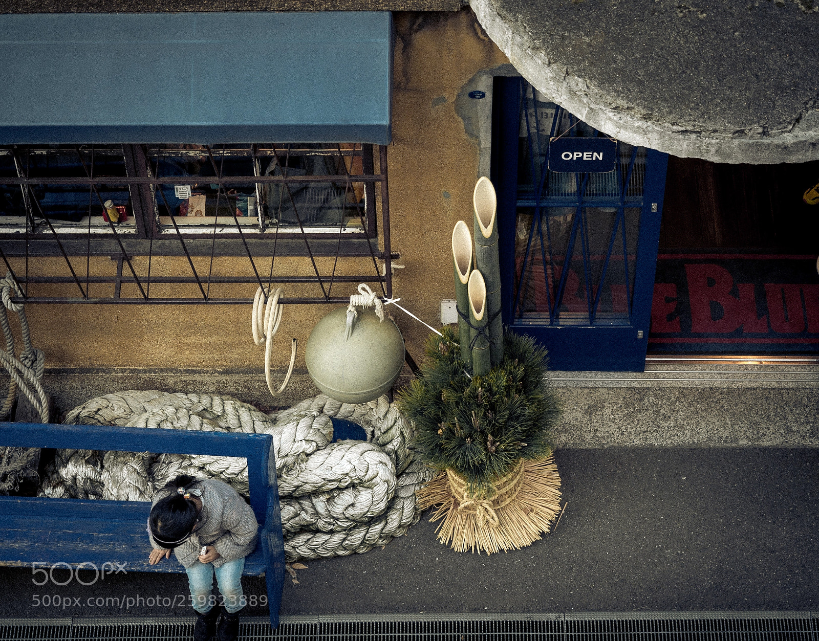 Olympus OM-D E-M5 II sample photo. Monkey step photography