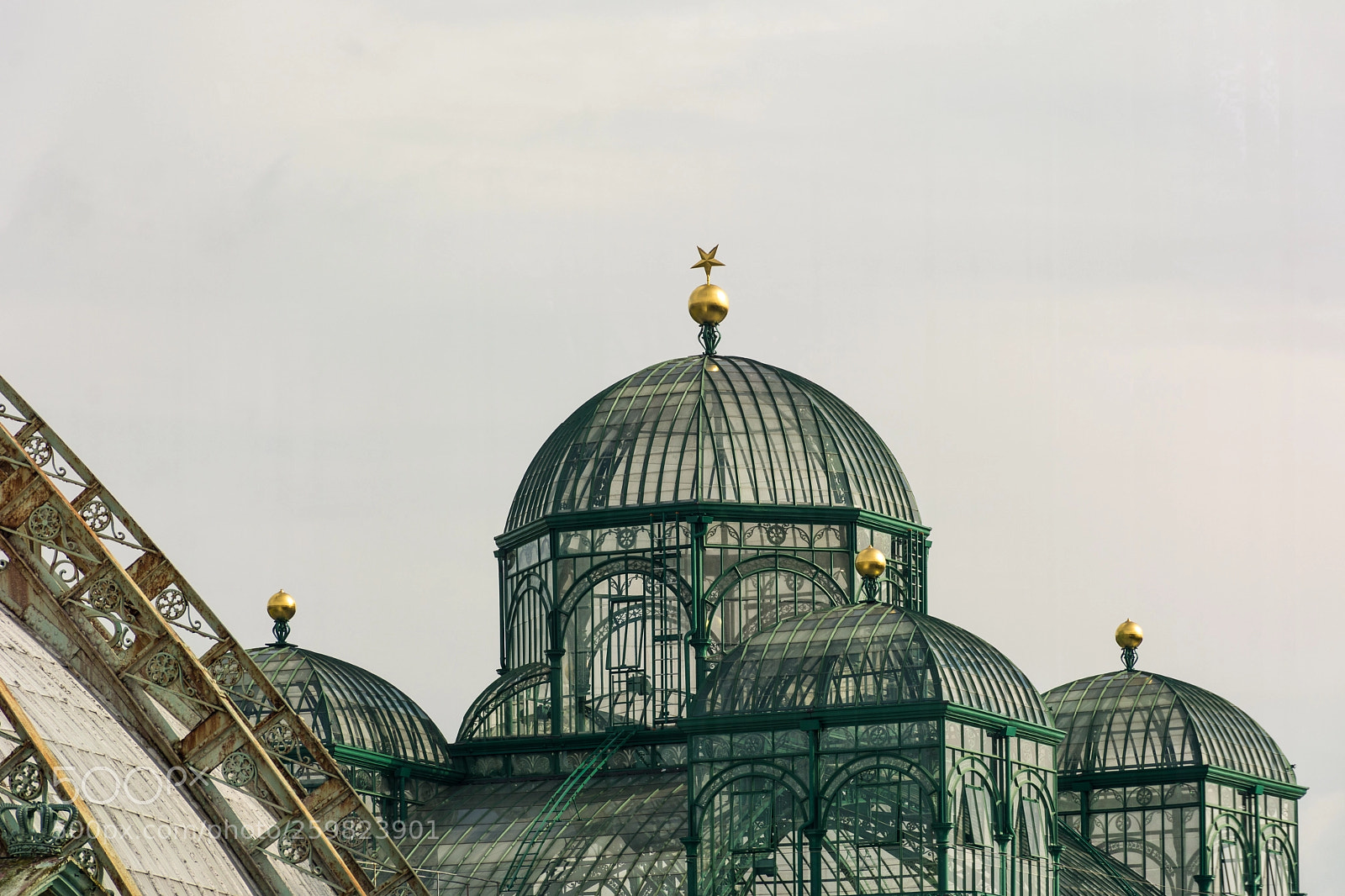 Nikon D7100 sample photo. Royal greenhouses laeken photography
