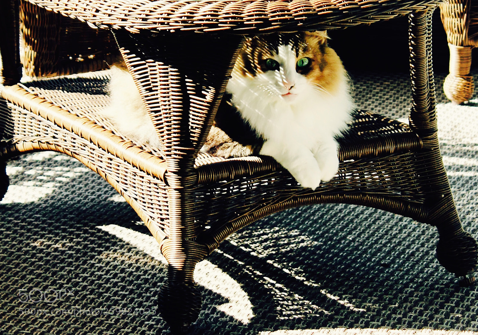 Canon EOS 1100D (EOS Rebel T3 / EOS Kiss X50) sample photo. On the porch photography