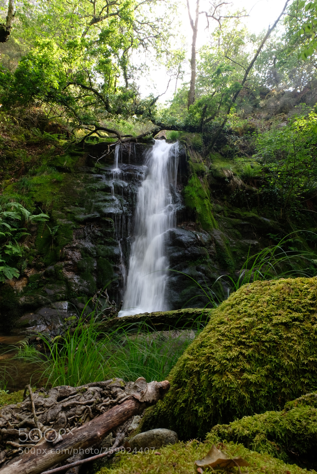 Fujifilm X-T20 sample photo. Serra da aboboreira, amarante photography