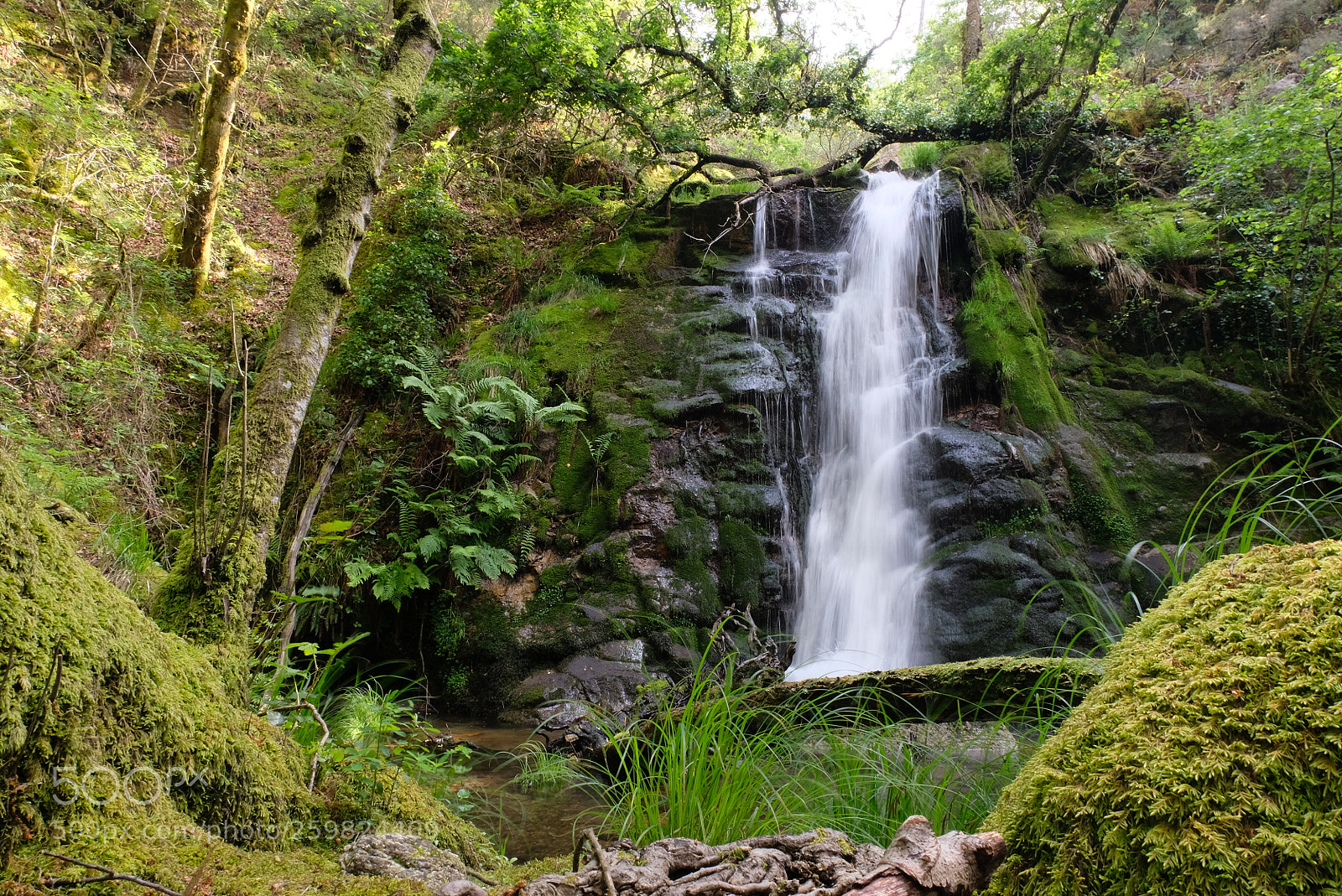 Fujifilm X-T20 sample photo. Serra da aboboreira, amarante photography