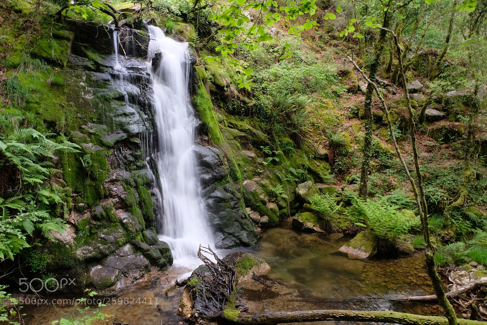 Fujifilm X-T20 sample photo. Serra da aboboreira, amarante photography