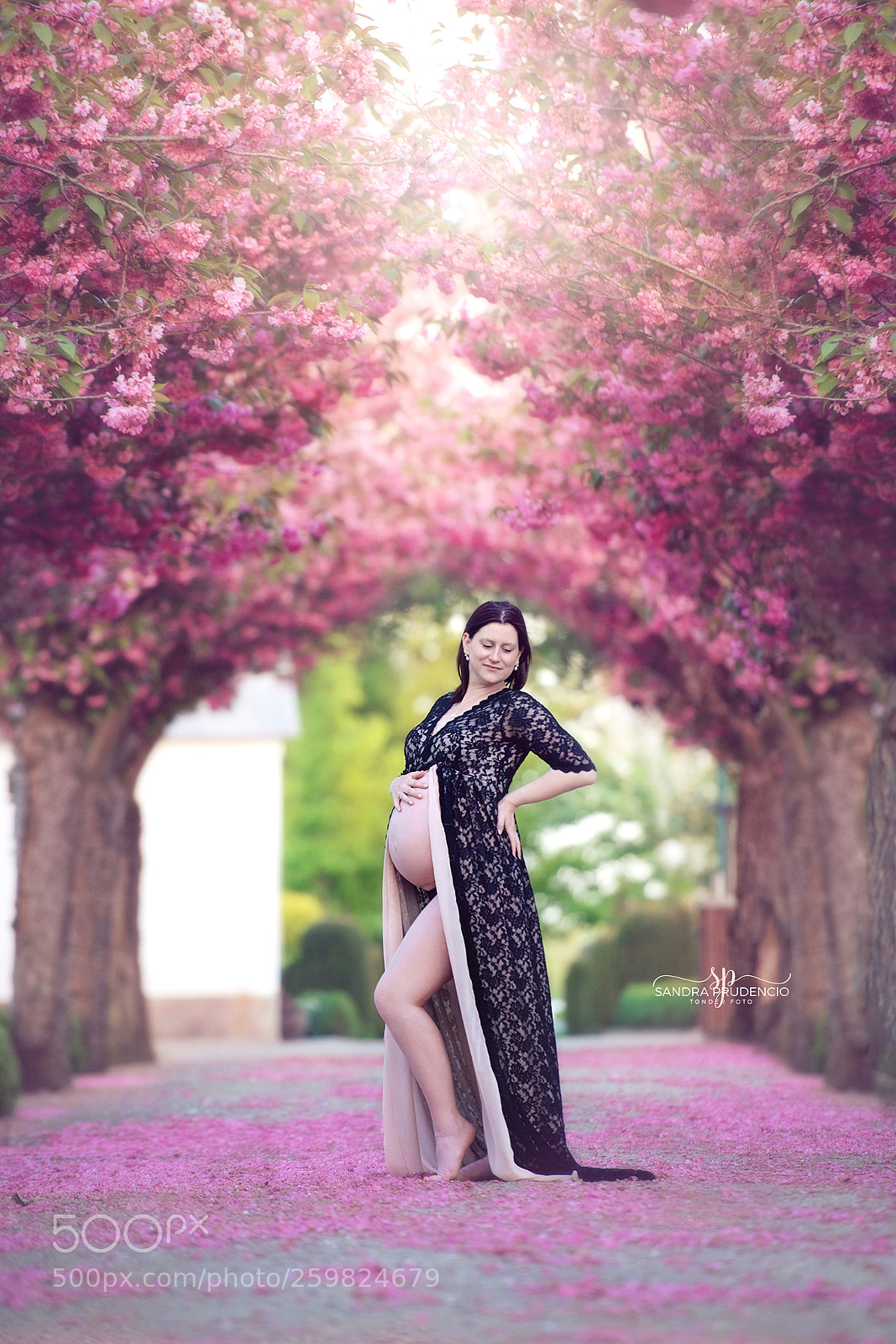 Nikon D800 sample photo. Ssp photography