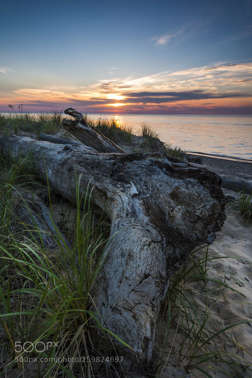 Nikon D750 sample photo. Indiana sunset  photography