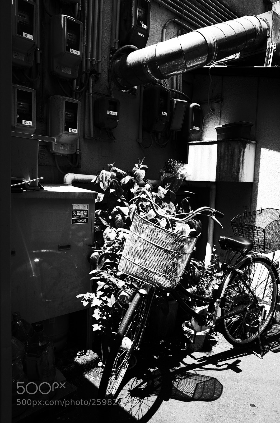 Ricoh GR II sample photo. Untitled photography