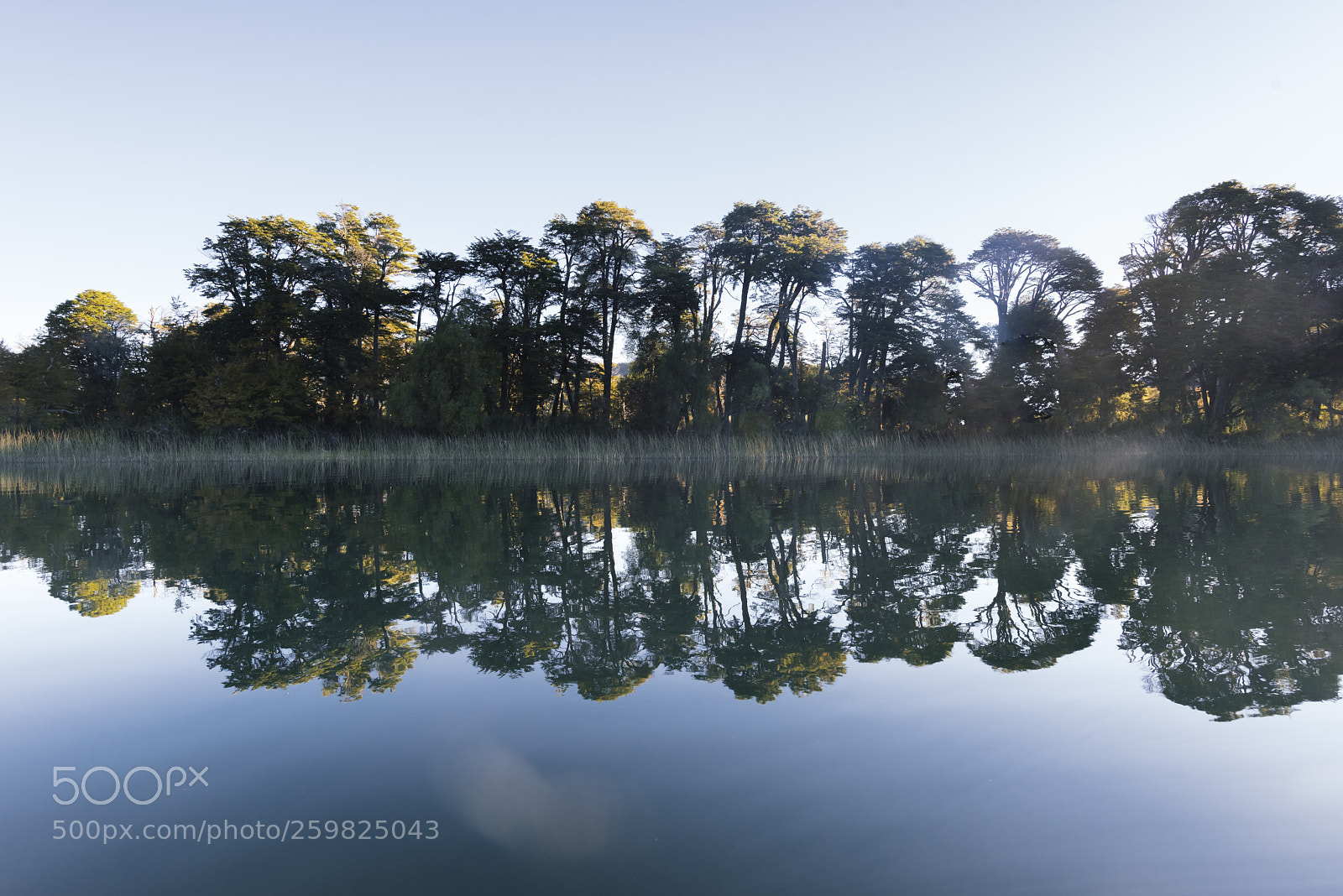 Nikon D810 sample photo. Lago hess photography