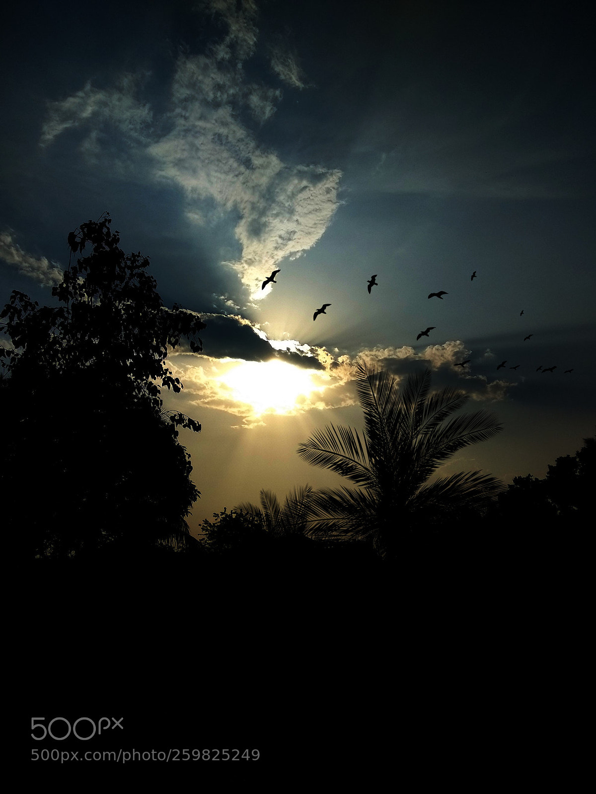 Xiaomi Mi A1 sample photo. Beautiful sky.... sunset photography
