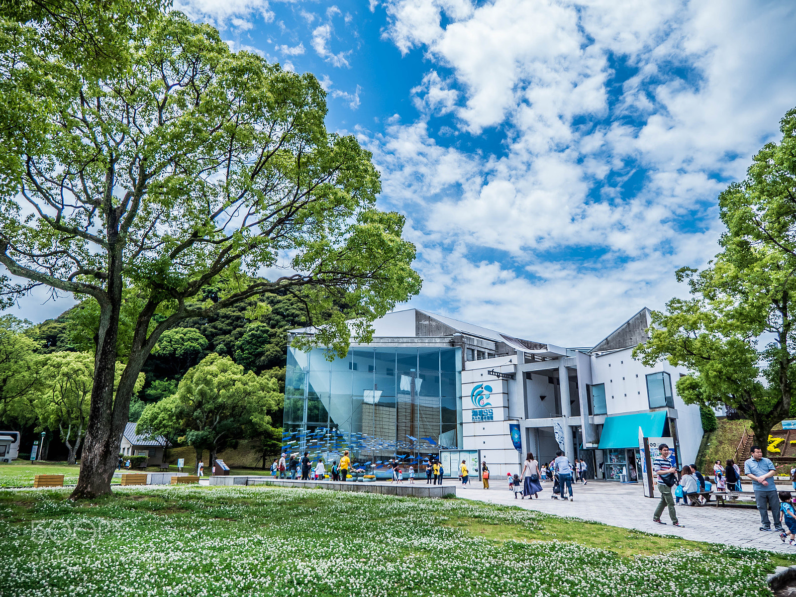 Panasonic Lumix DMC-GH4 sample photo. Umikirara photography