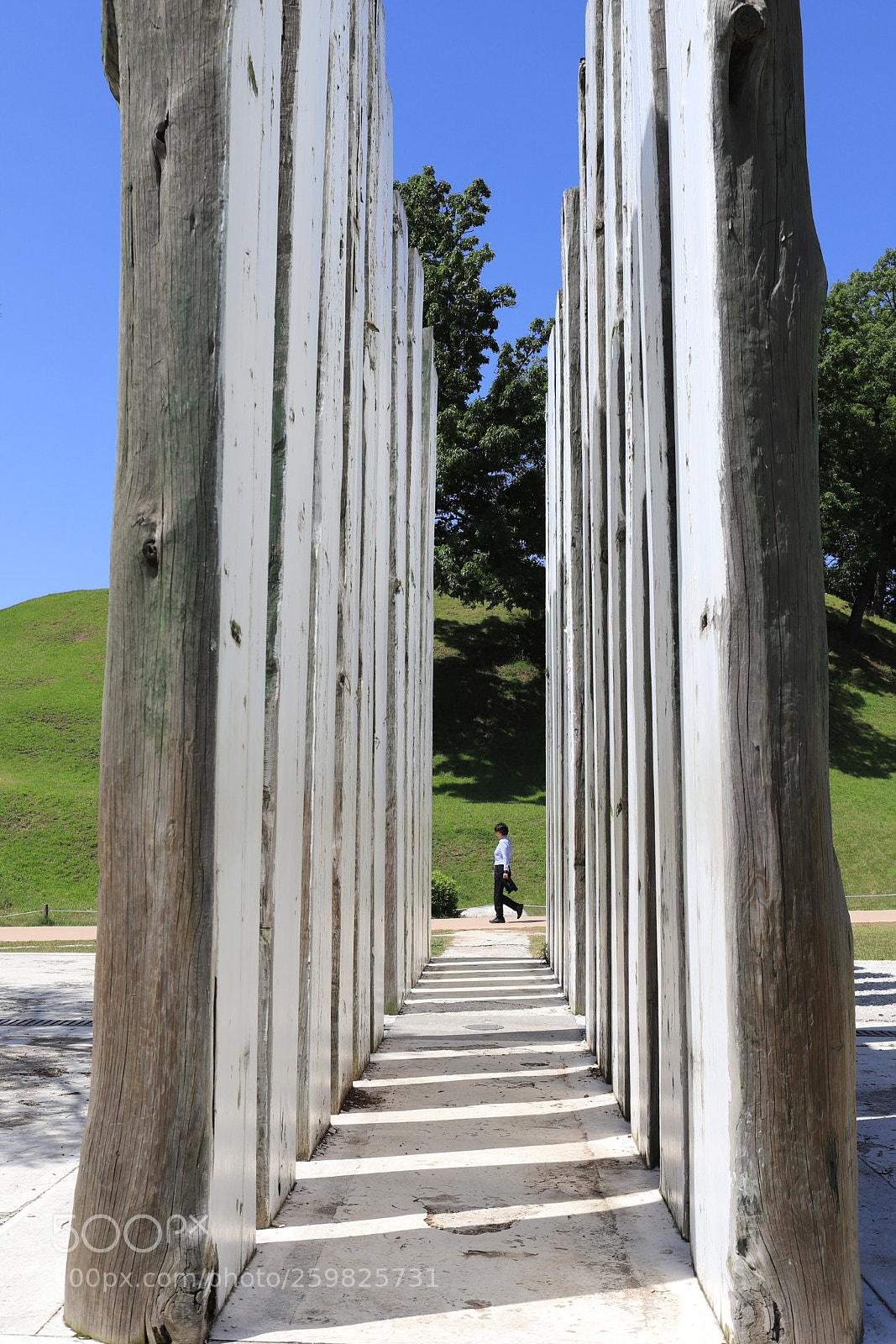 Canon EOS 6D Mark II sample photo. Eye-catching photography