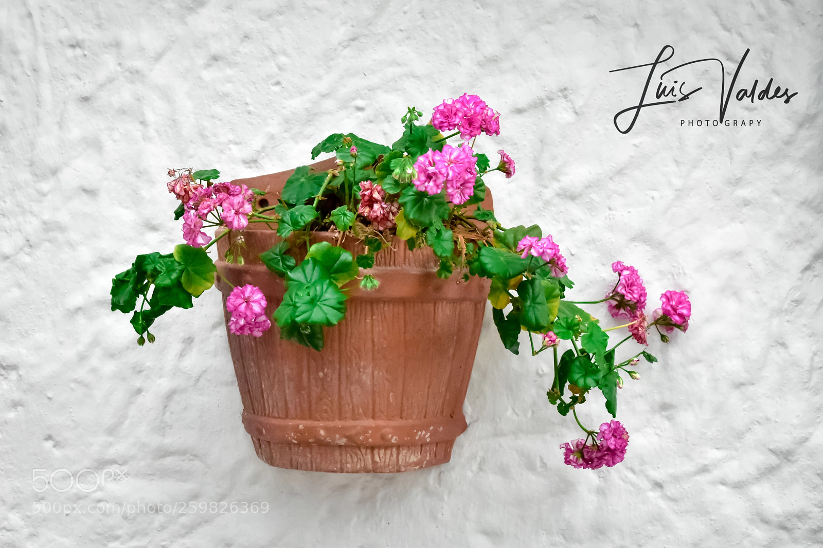Nikon D7200 sample photo. Wall photography
