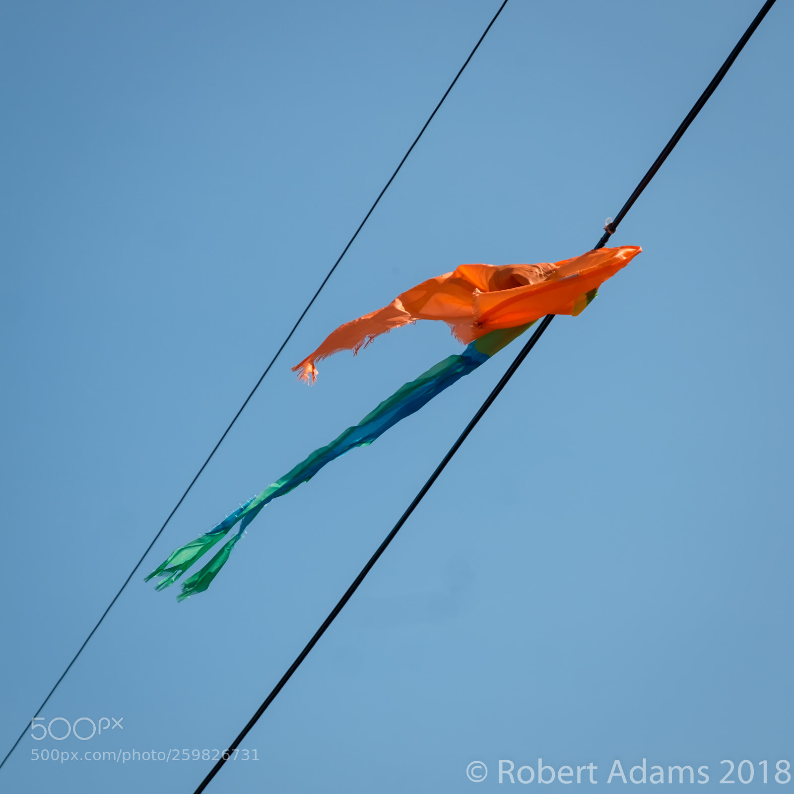 Fujifilm X-T2 sample photo. Lost kite photography
