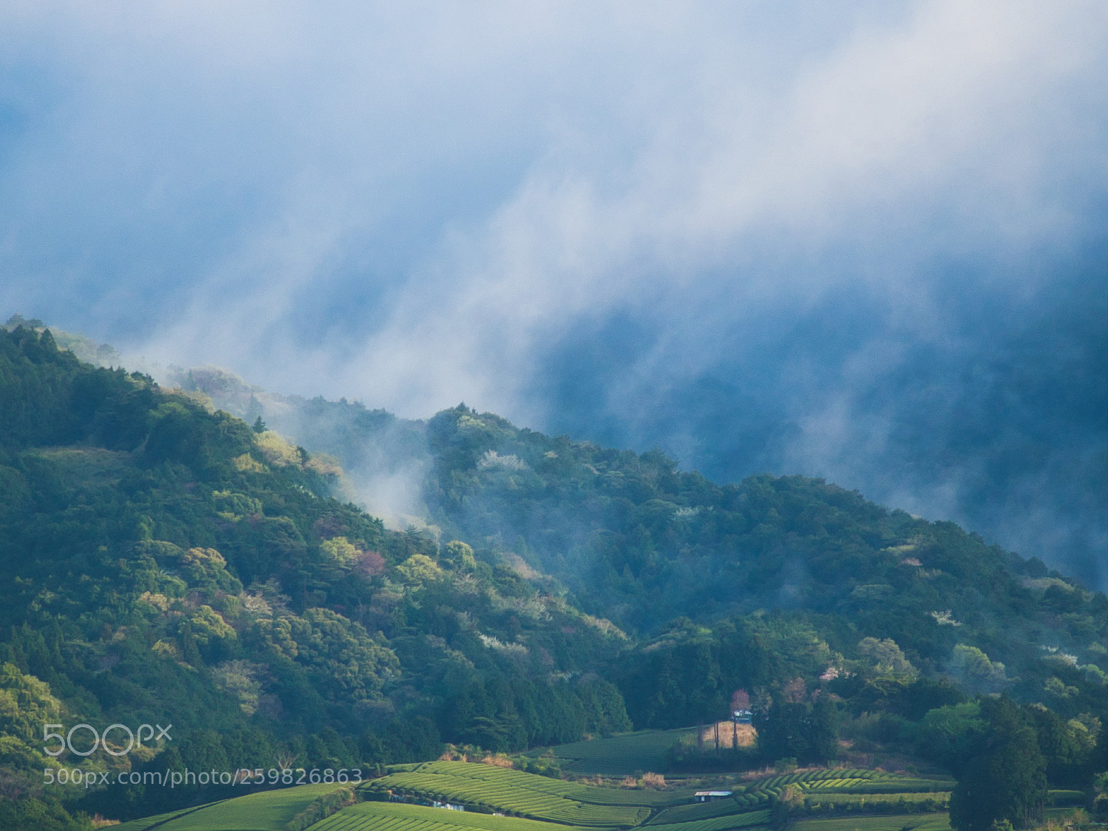 Olympus OM-D E-M5 II sample photo. A beautiful morning. photography