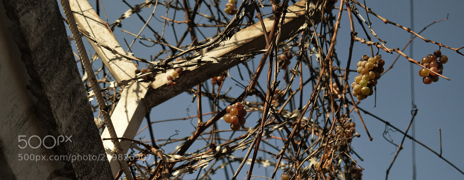 Nikon D3300 sample photo. 32 photography