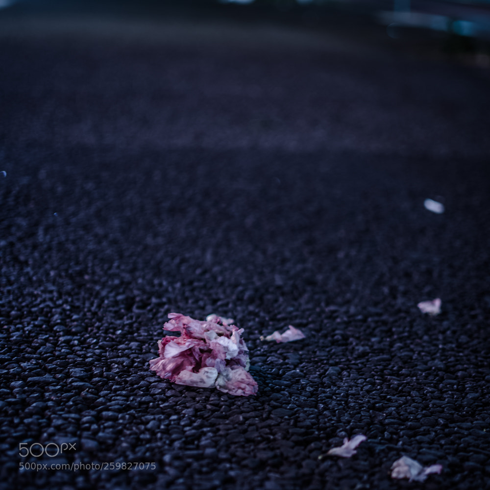 Nikon D7500 sample photo. Tokyo @ 3:00 a.m. photography