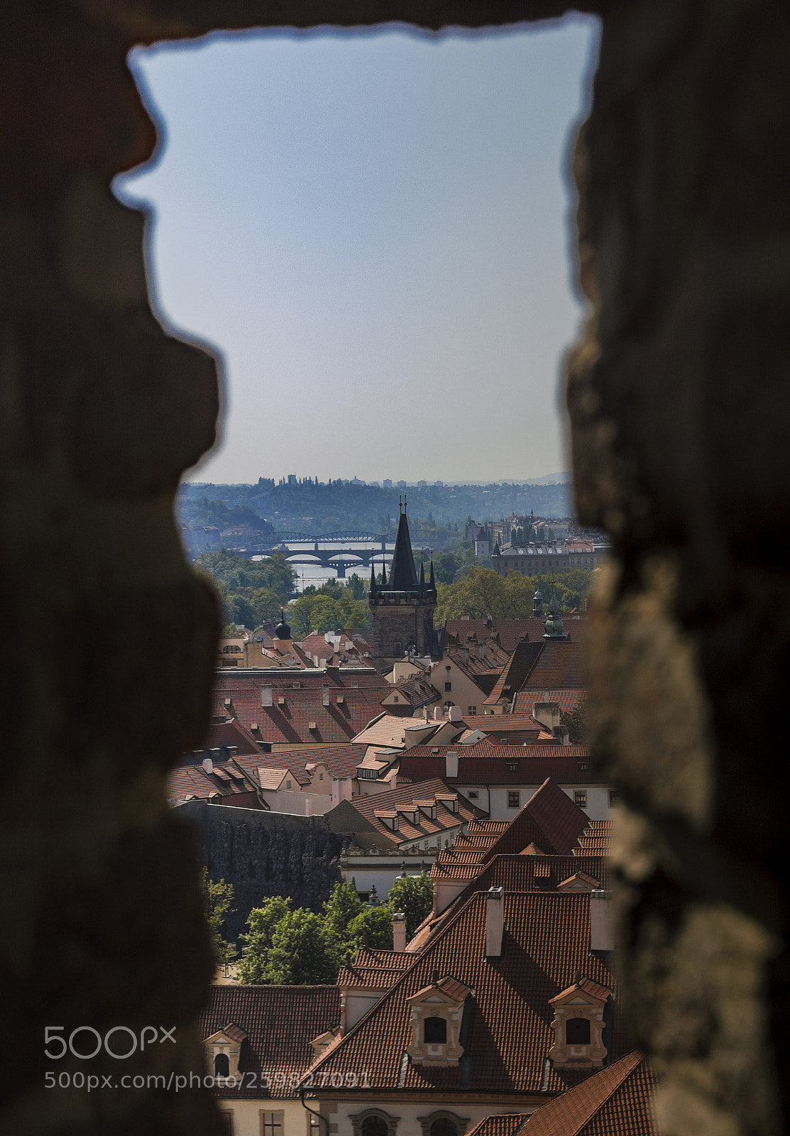 Nikon D3200 sample photo. Peeking through photography