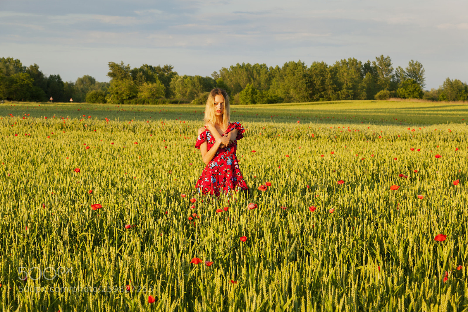Canon EOS 5D Mark II sample photo. Poppy queen photography