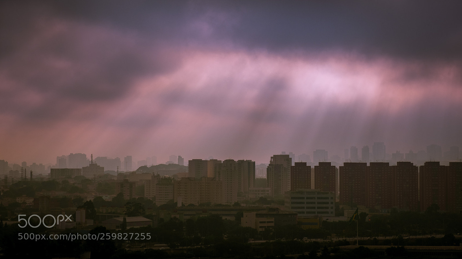 Fujifilm X-H1 sample photo. Morning mist photography