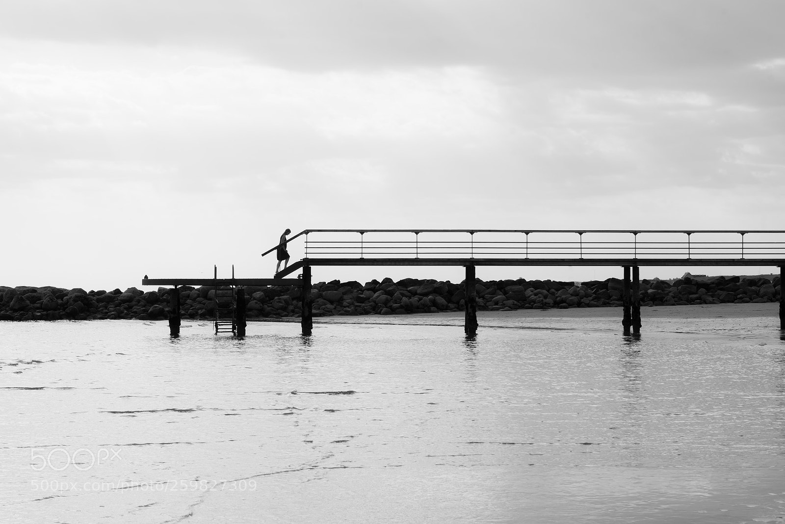 Nikon D750 sample photo. Blåvand photography