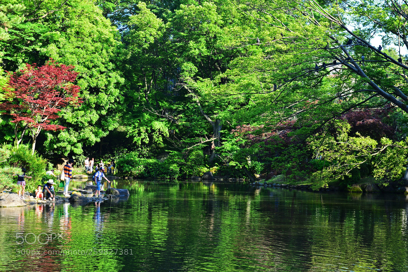 Nikon D610 sample photo. A photography