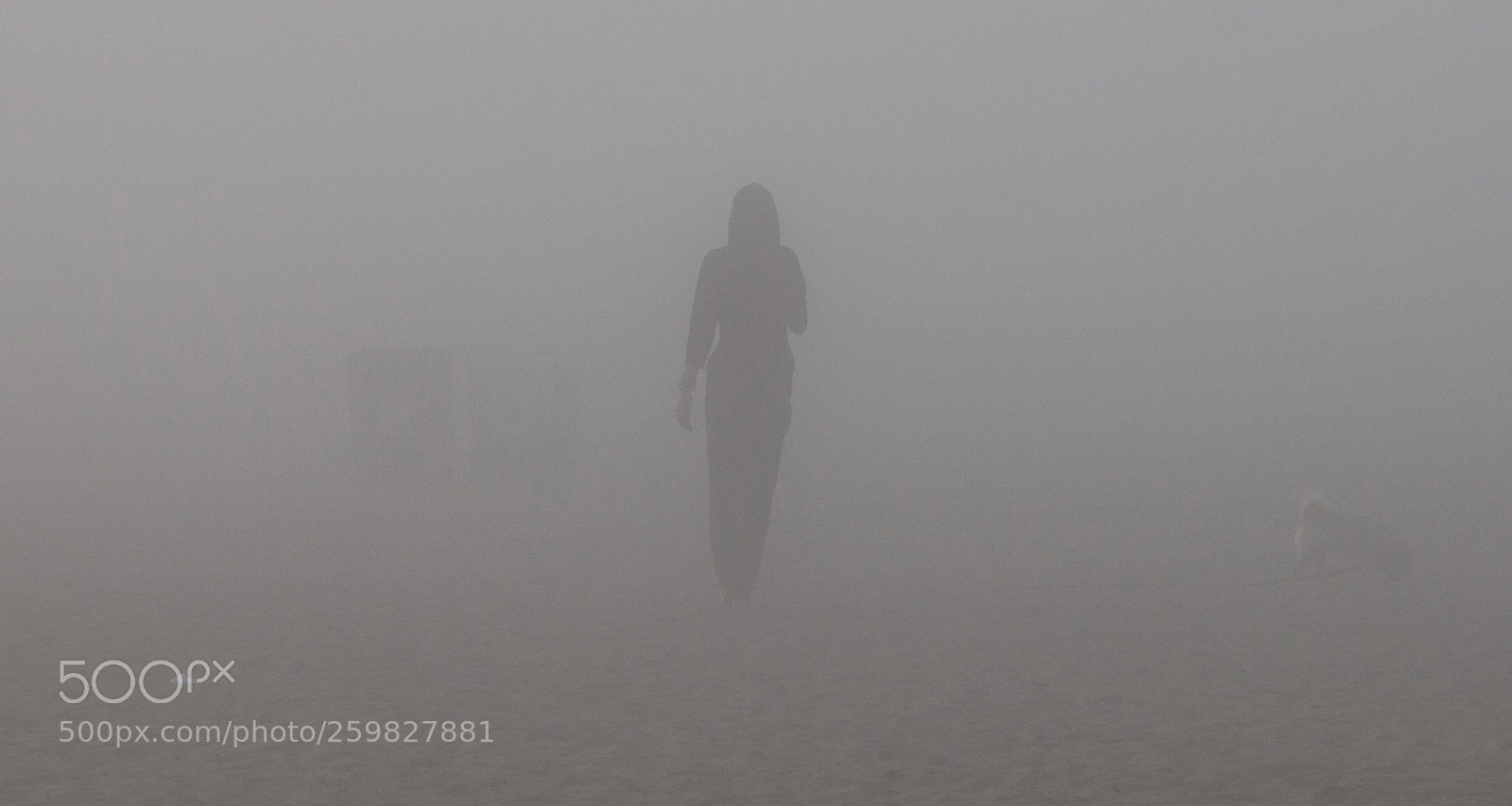 Canon EOS 70D sample photo. Ghost walking its ghost photography