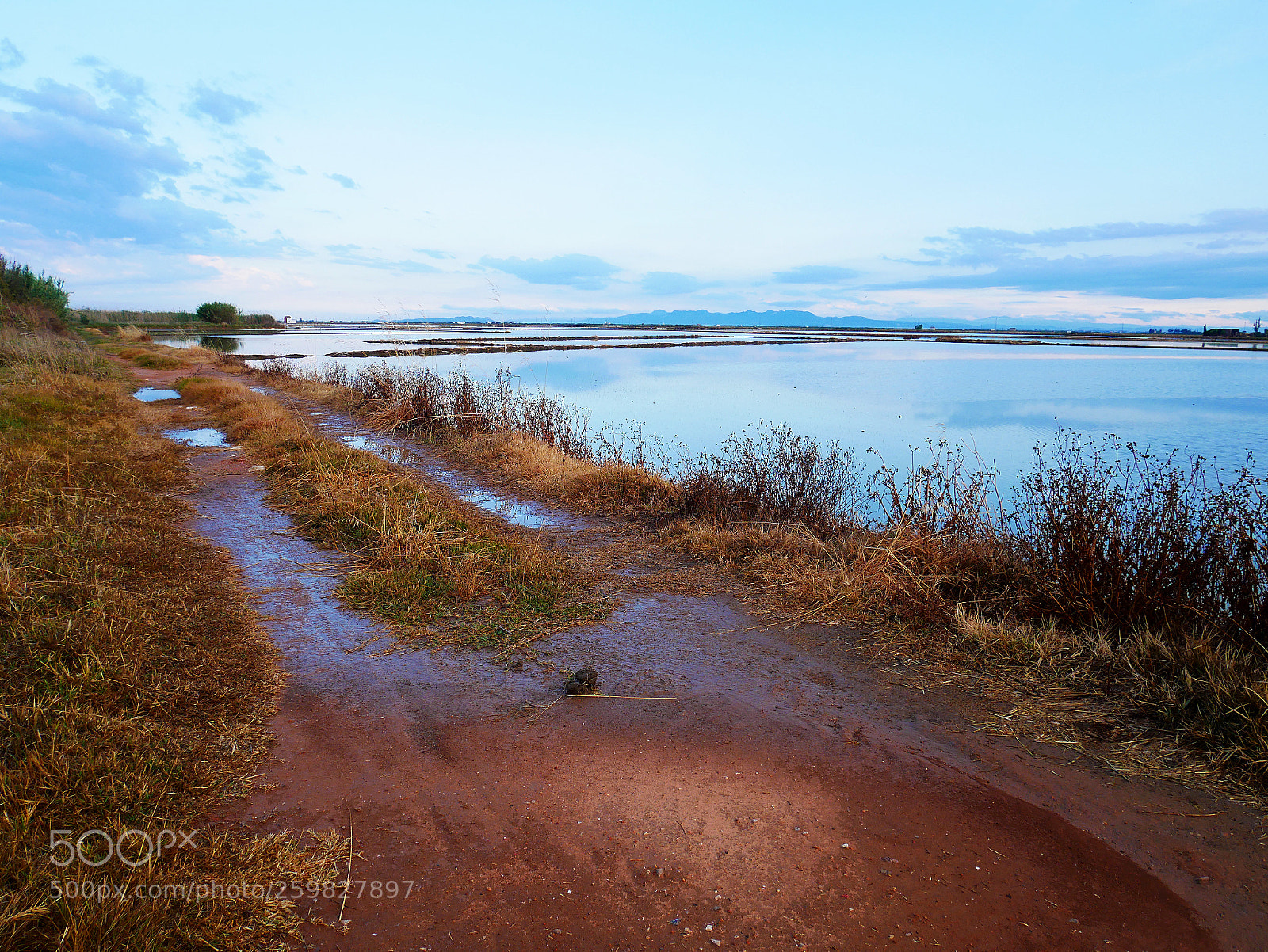 Panasonic Lumix DMC-GX85 (Lumix DMC-GX80 / Lumix DMC-GX7 Mark II) sample photo. Albufera photography