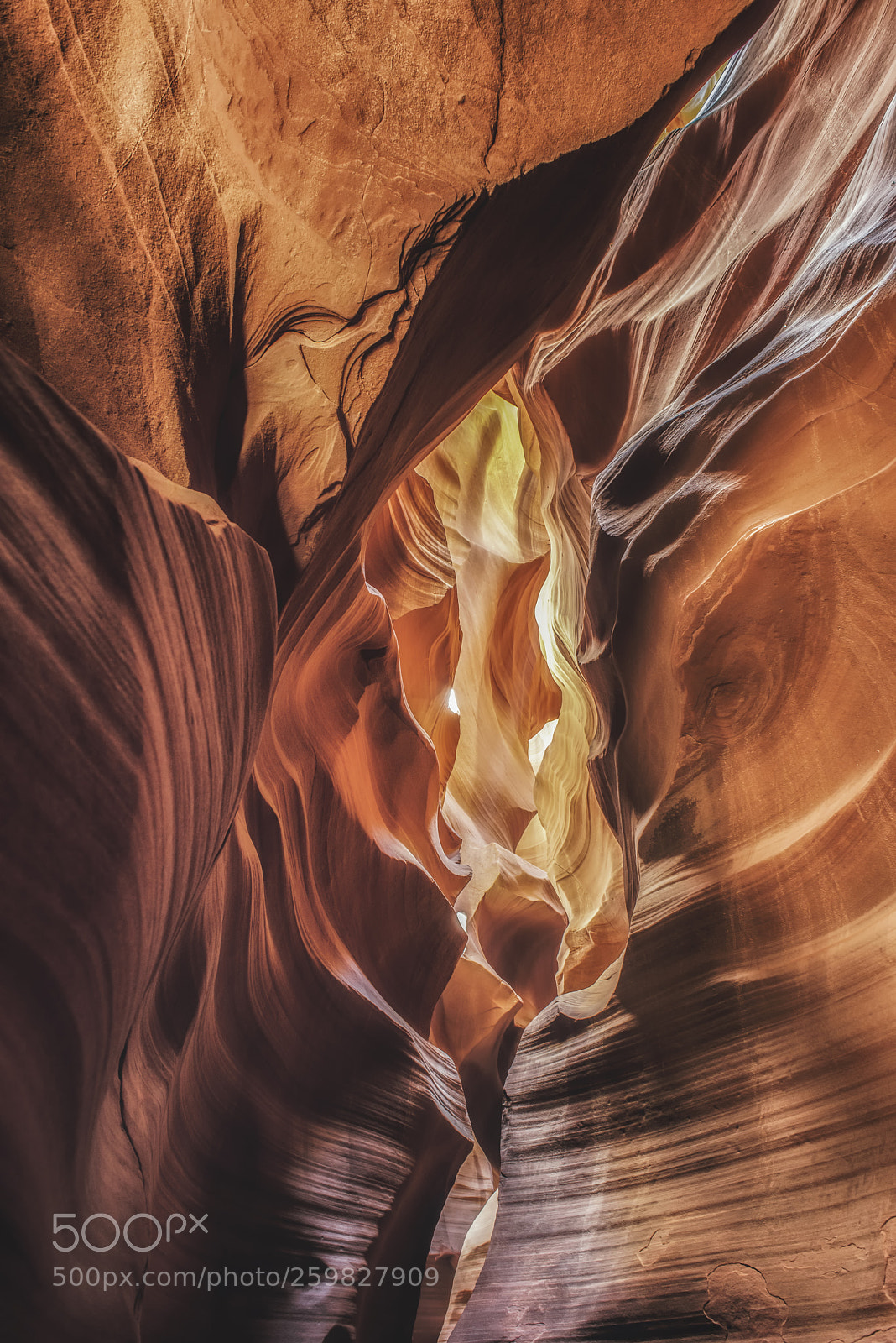 Nikon D800 sample photo. Antelope canyon page photography