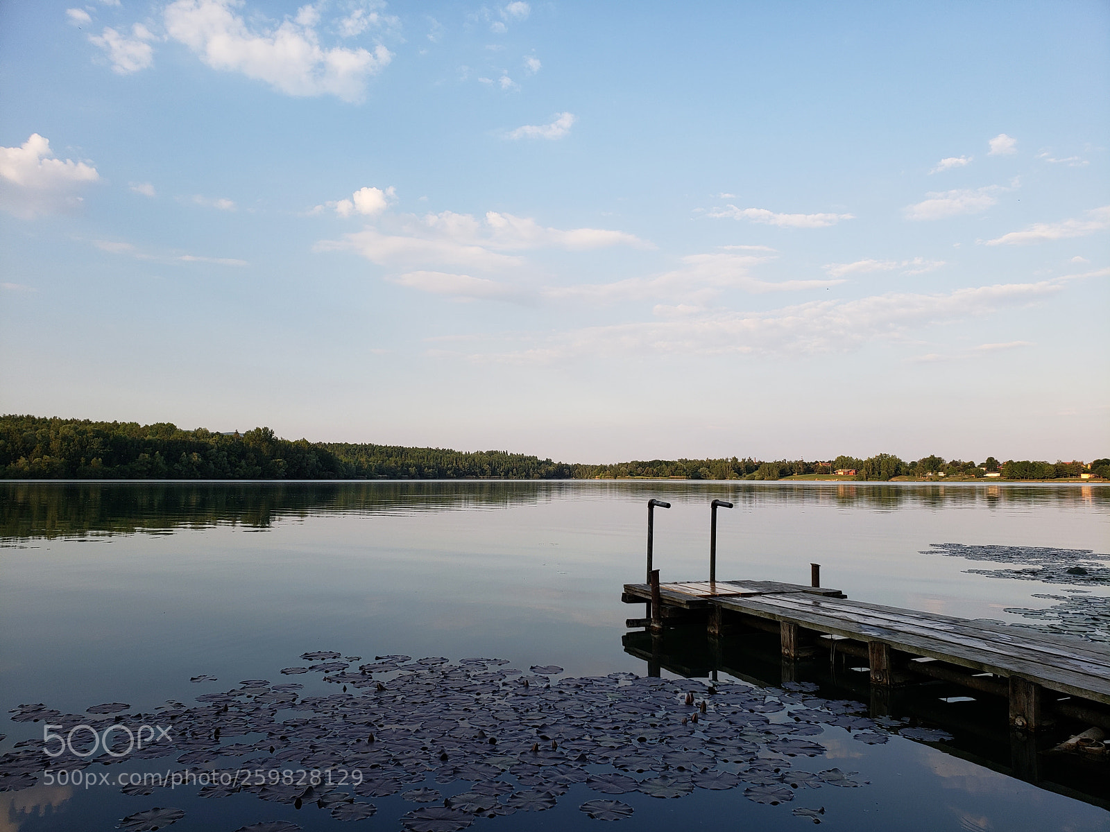 Samsung Galaxy S9+ sample photo. Untitled photography