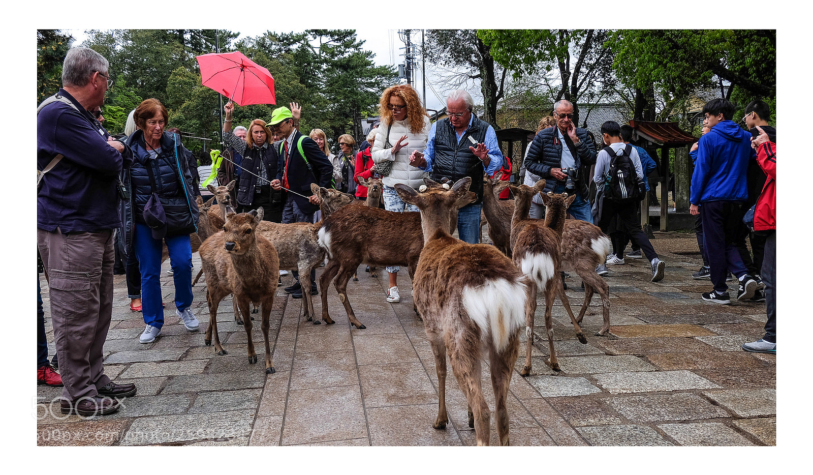 Fujifilm X-T1 sample photo. Narapark photography