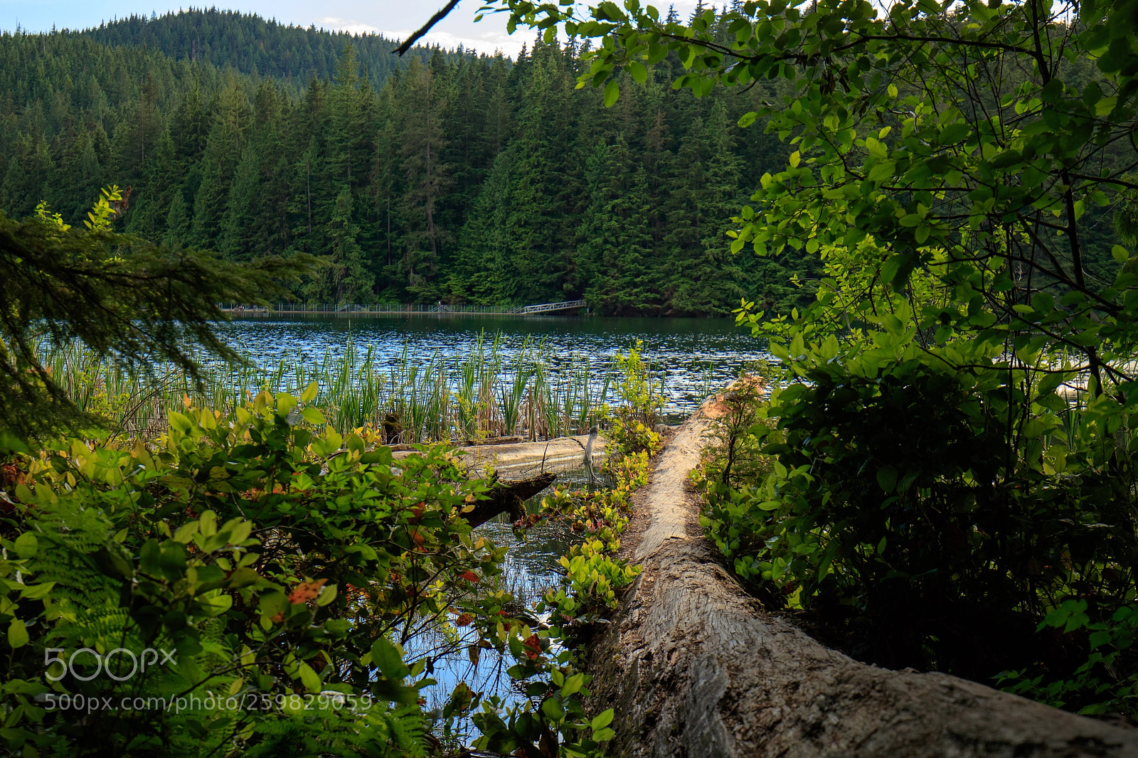 Canon EOS 750D (EOS Rebel T6i / EOS Kiss X8i) sample photo. Sasamat lake photography