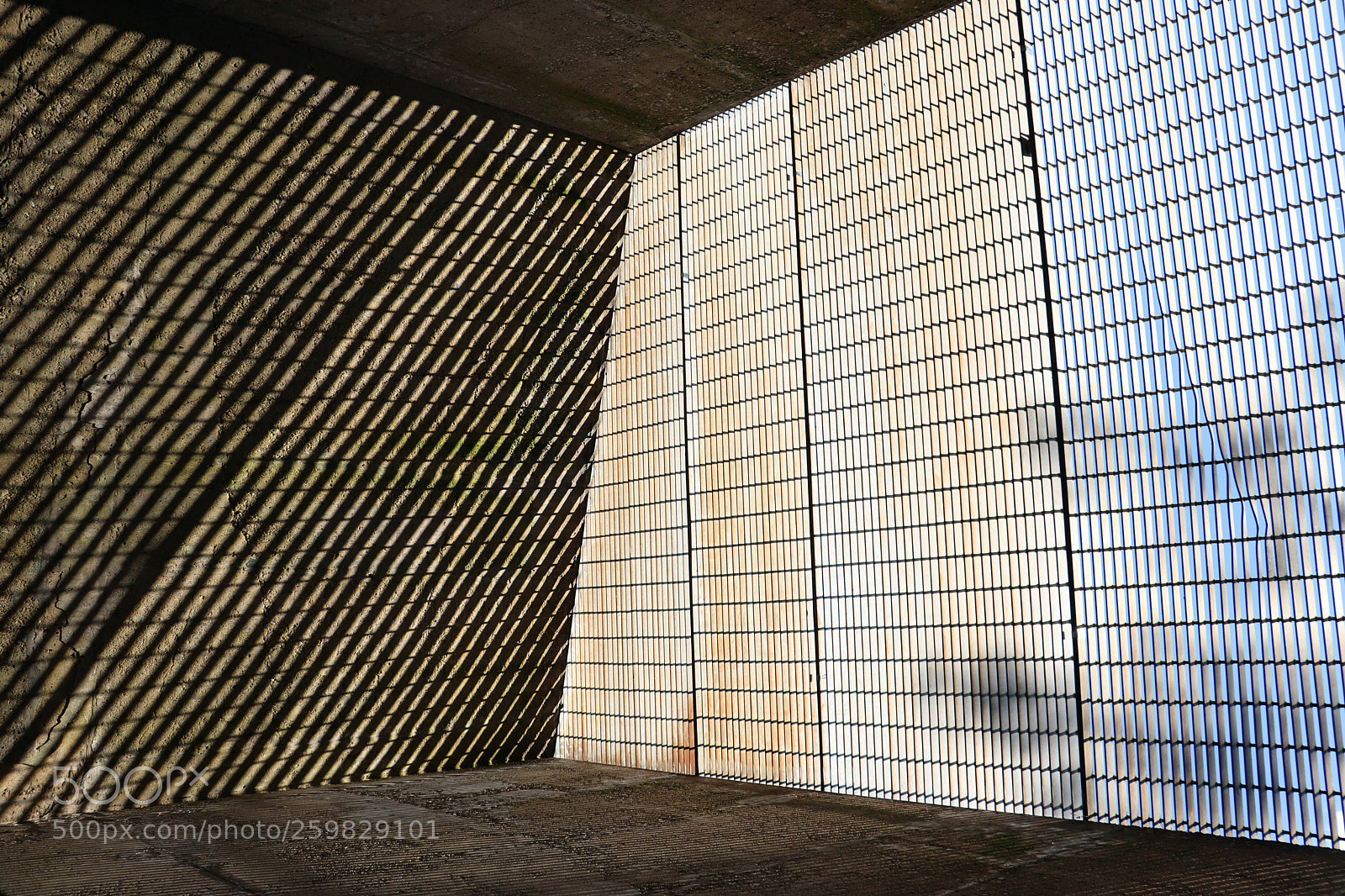 Canon EOS 77D (EOS 9000D / EOS 770D) sample photo. I don't know photography