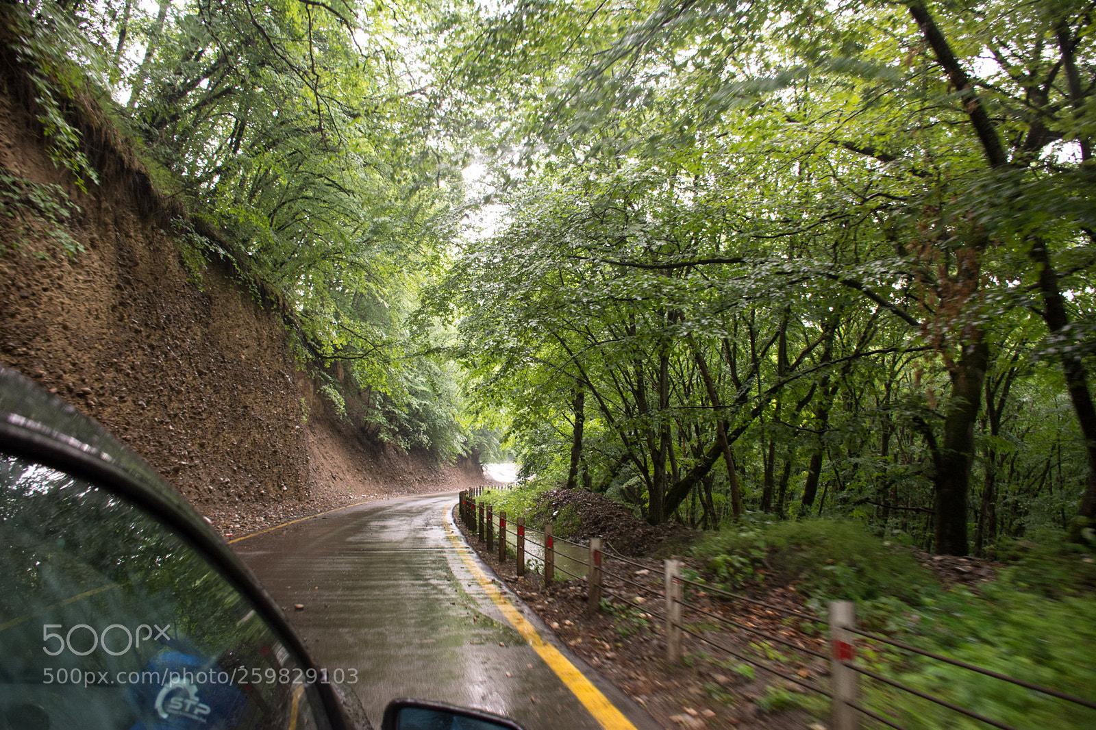 Nikon D7100 sample photo. After rain photography