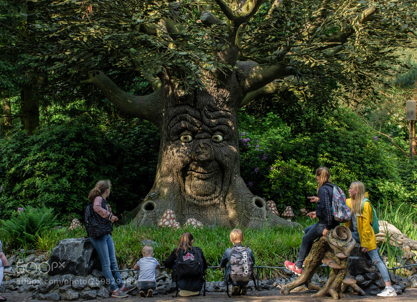 Nikon D7200 sample photo. The wise tree photography