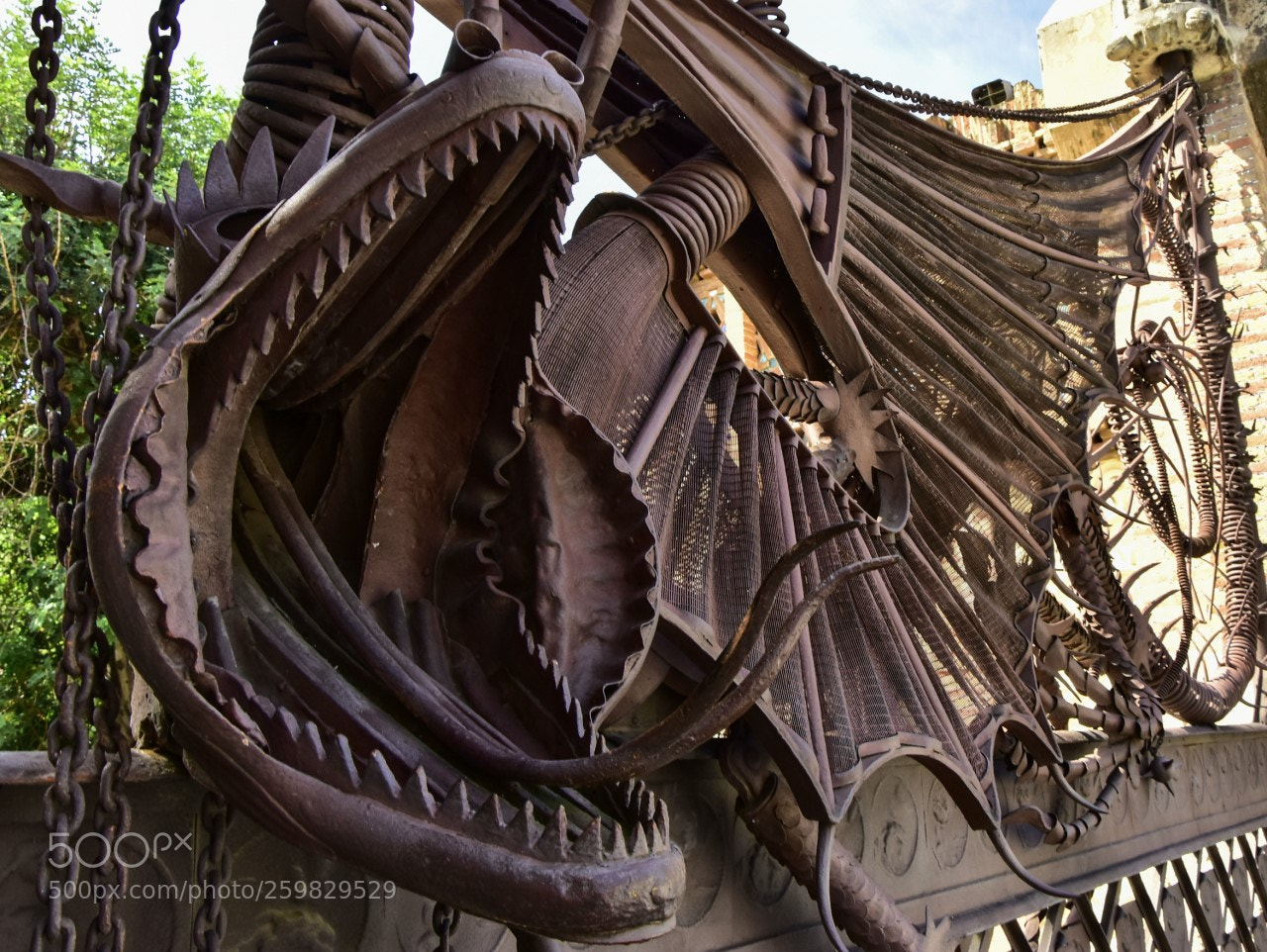 Nikon D7200 sample photo. Dragon photography
