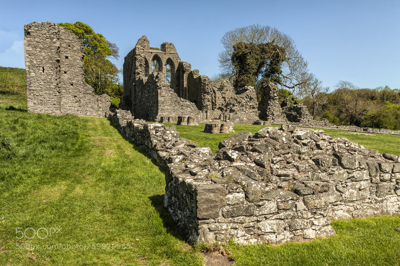 Canon EOS 50D sample photo. Downpatrick photography
