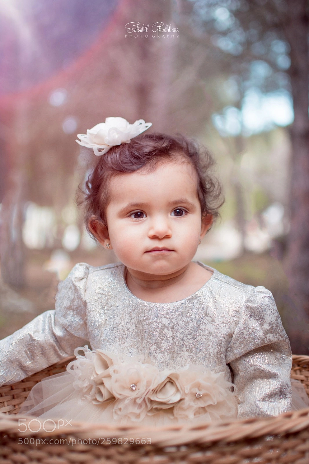 Nikon D5200 sample photo. Lyn photography