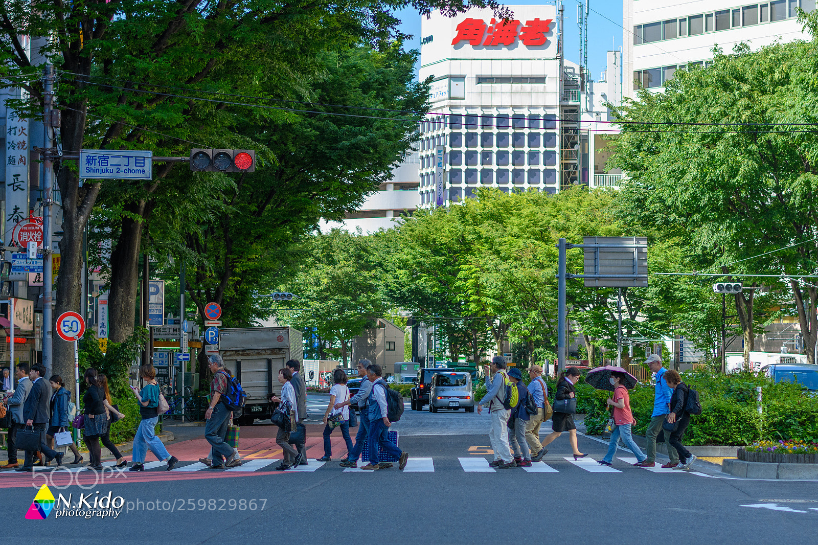 Nikon D850 sample photo. Japanese crosswalk photography
