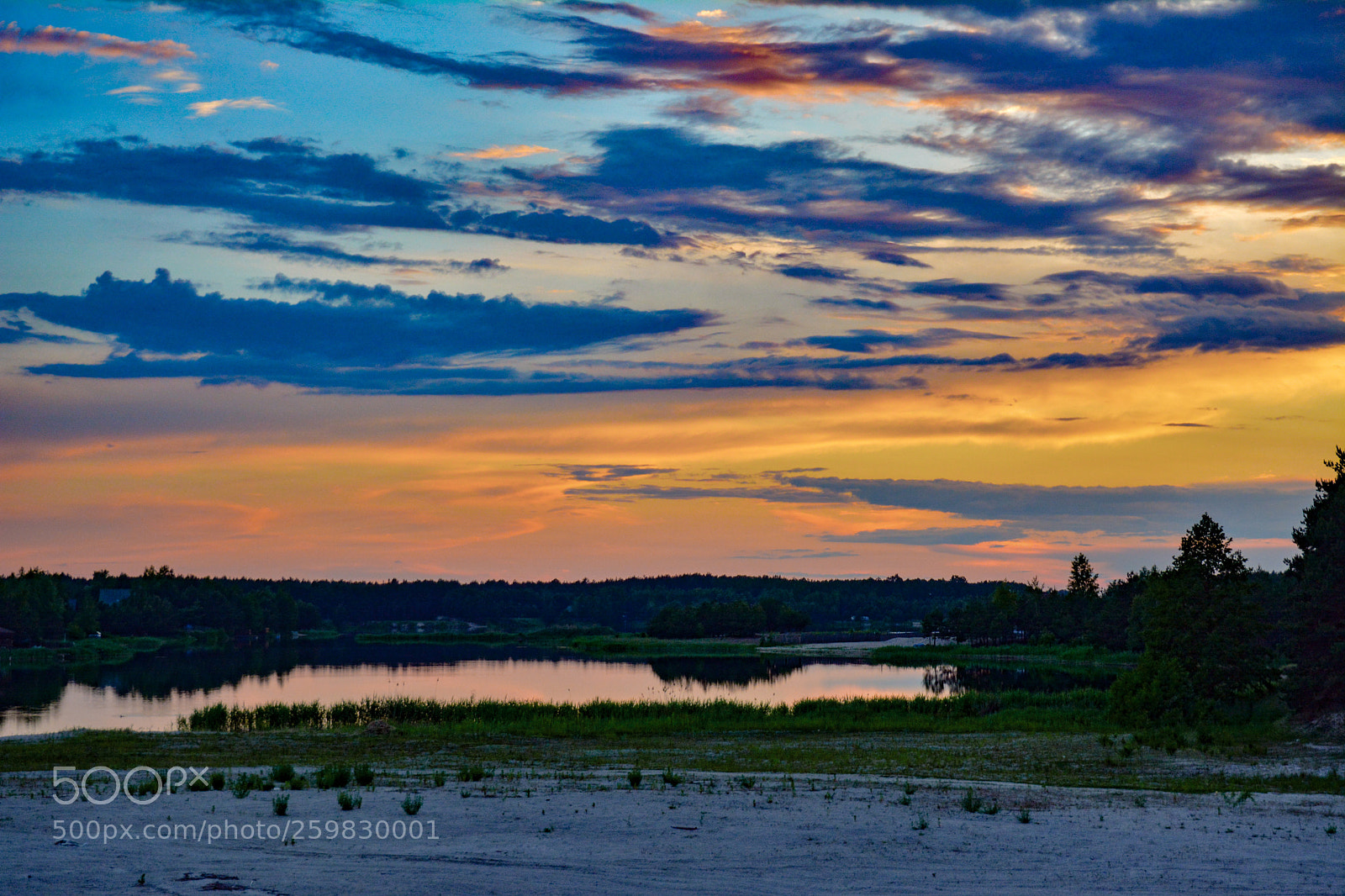 Nikon D5200 sample photo. Colors photography