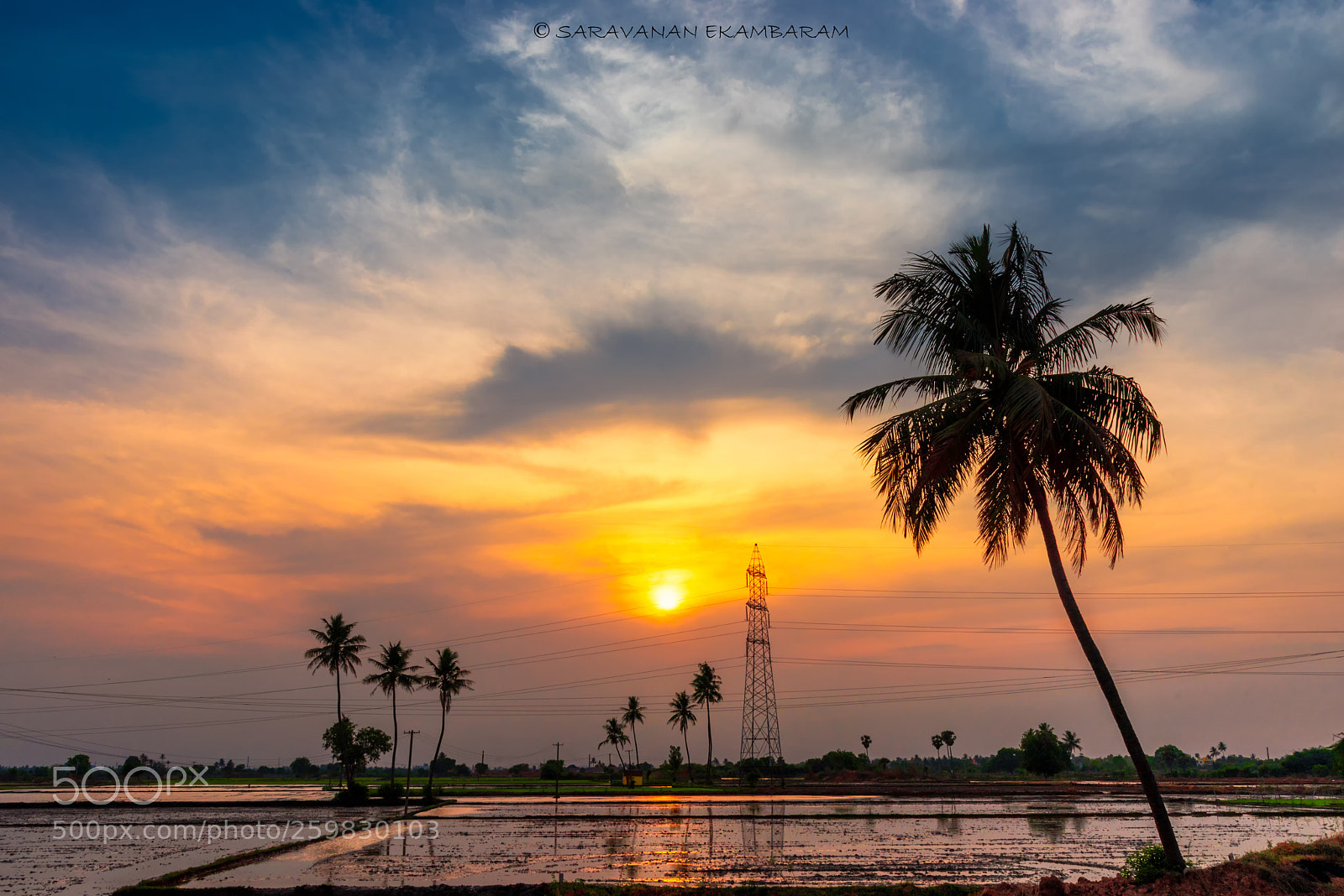 Nikon D750 sample photo. Colorful evening, thirumazhisai, chennai photography