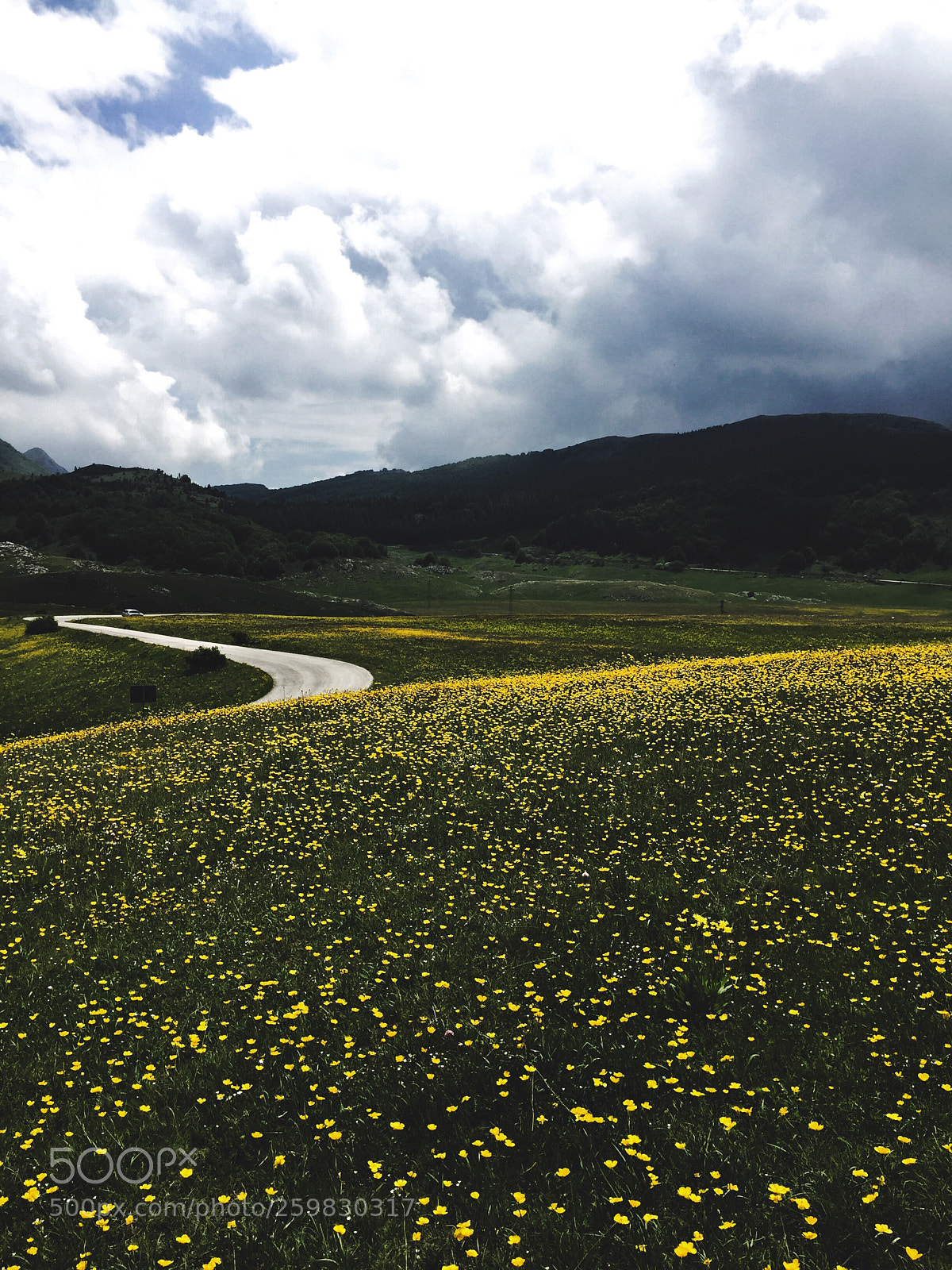Apple iPhone 6 Plus sample photo. Road to home  photography
