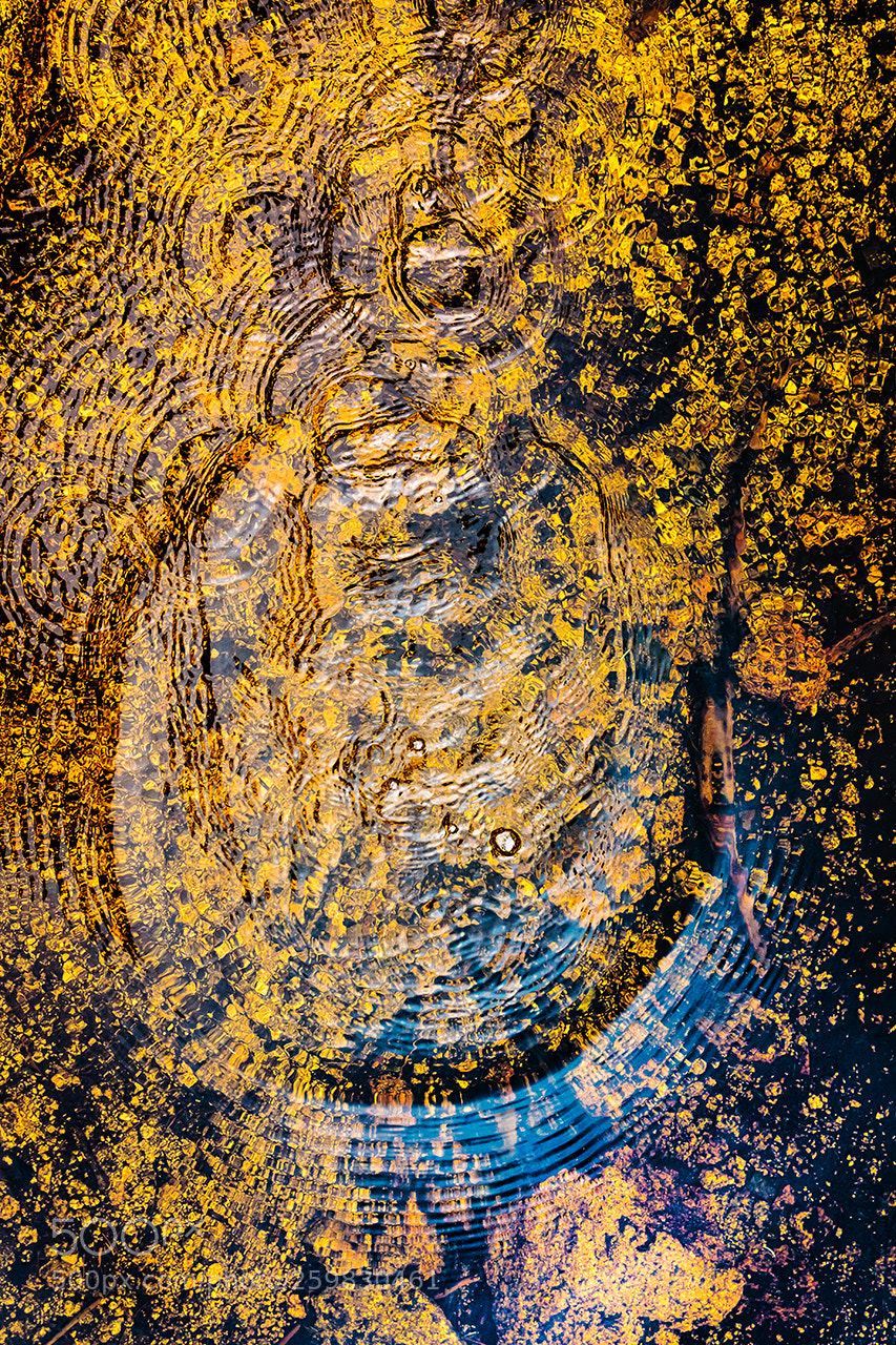 Sony a6300 sample photo. Circles on the water. photography