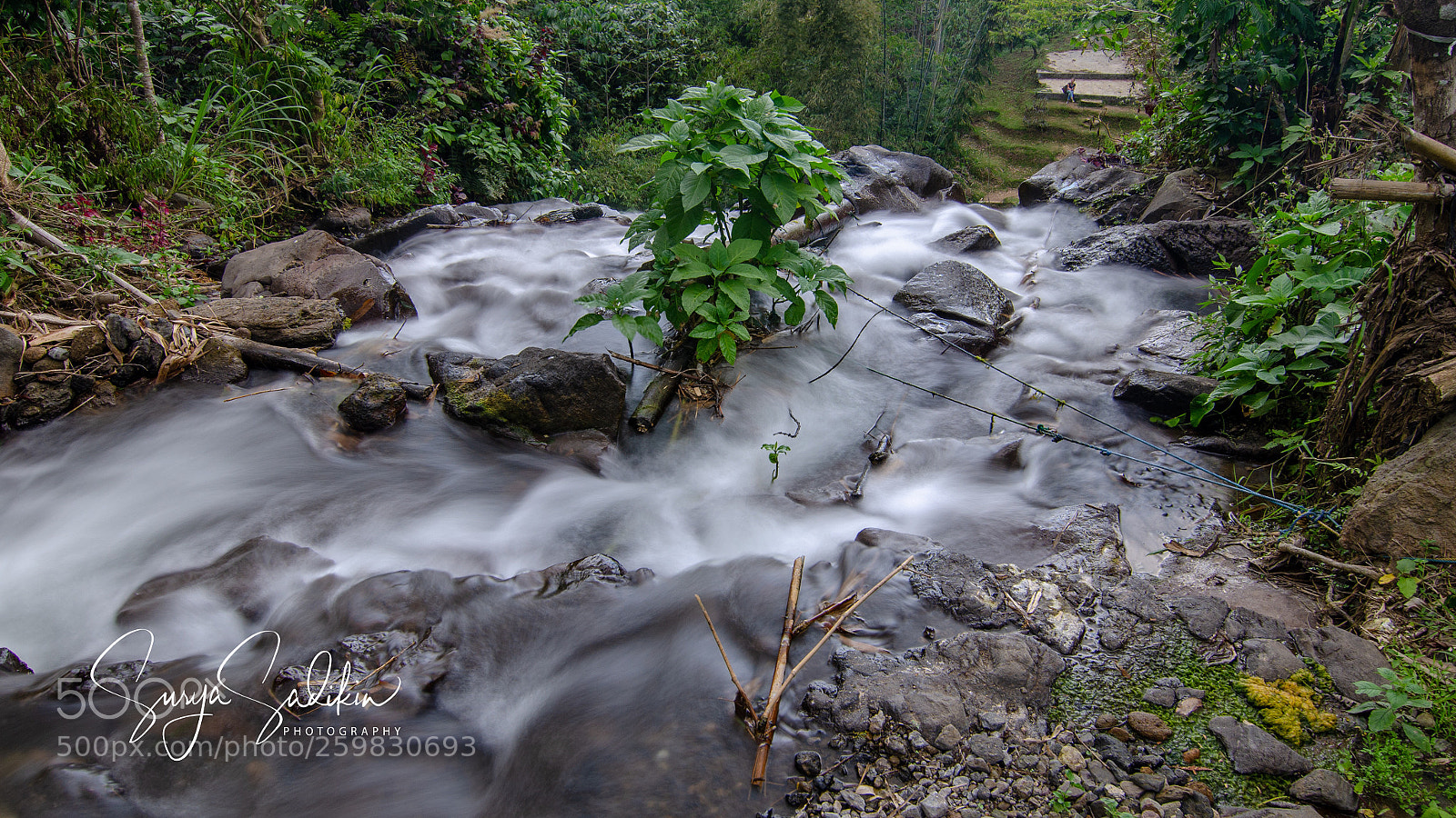 Nikon D7000 sample photo. Against the current photography